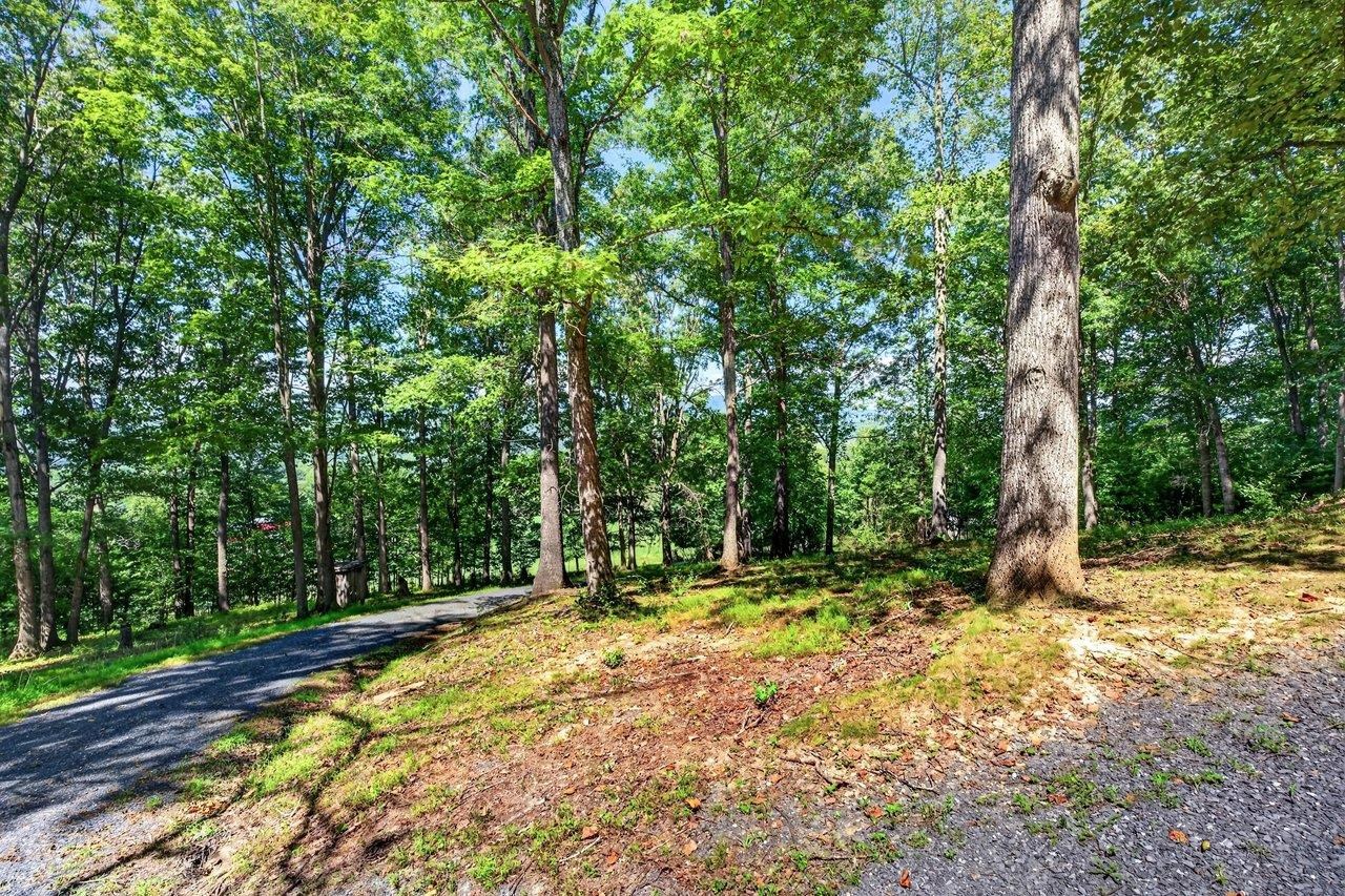 1874 TROXEL GAP RD, CRAIGSVILLE, Virginia 24430, 3 Bedrooms Bedrooms, ,2 BathroomsBathrooms,Residential,1874 TROXEL GAP RD,681563 MLS # 681563 1874 TROXEL GAP RD, CRAIGSVILLE, Virginia 24430, 3 Bedrooms Bedrooms, ,2 BathroomsBathrooms,Residential,1874 TROXEL GAP RD,681563 MLS # 681563