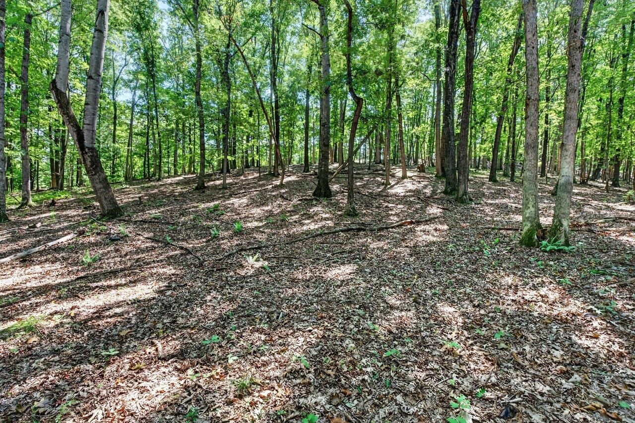 1874 TROXEL GAP RD, CRAIGSVILLE, Virginia 24430, 3 Bedrooms Bedrooms, ,2 BathroomsBathrooms,Residential,1874 TROXEL GAP RD,681563 MLS # 681563 1874 TROXEL GAP RD, CRAIGSVILLE, Virginia 24430, 3 Bedrooms Bedrooms, ,2 BathroomsBathrooms,Residential,1874 TROXEL GAP RD,681563 MLS # 681563