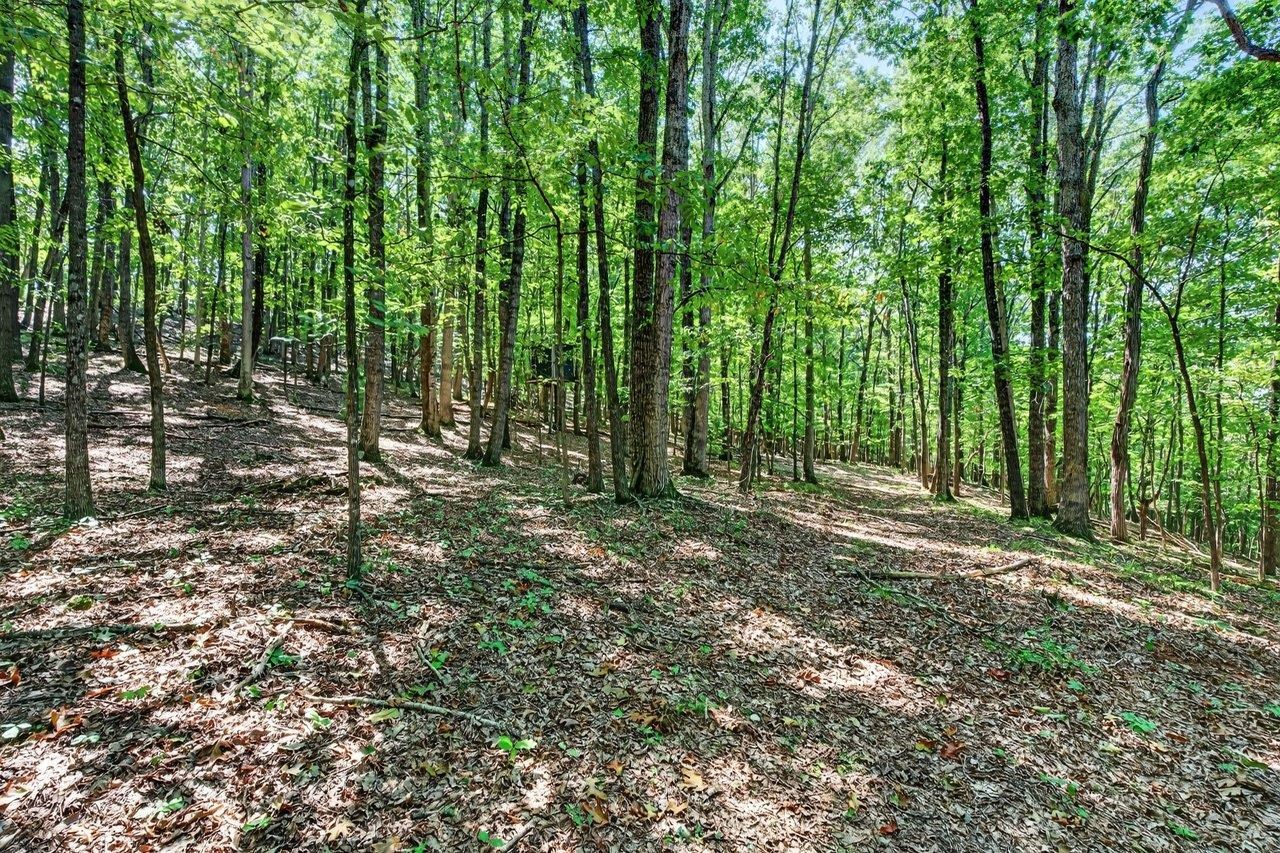 1874 TROXEL GAP RD, CRAIGSVILLE, Virginia 24430, 3 Bedrooms Bedrooms, ,2 BathroomsBathrooms,Residential,1874 TROXEL GAP RD,681563 MLS # 681563 1874 TROXEL GAP RD, CRAIGSVILLE, Virginia 24430, 3 Bedrooms Bedrooms, ,2 BathroomsBathrooms,Residential,1874 TROXEL GAP RD,681563 MLS # 681563