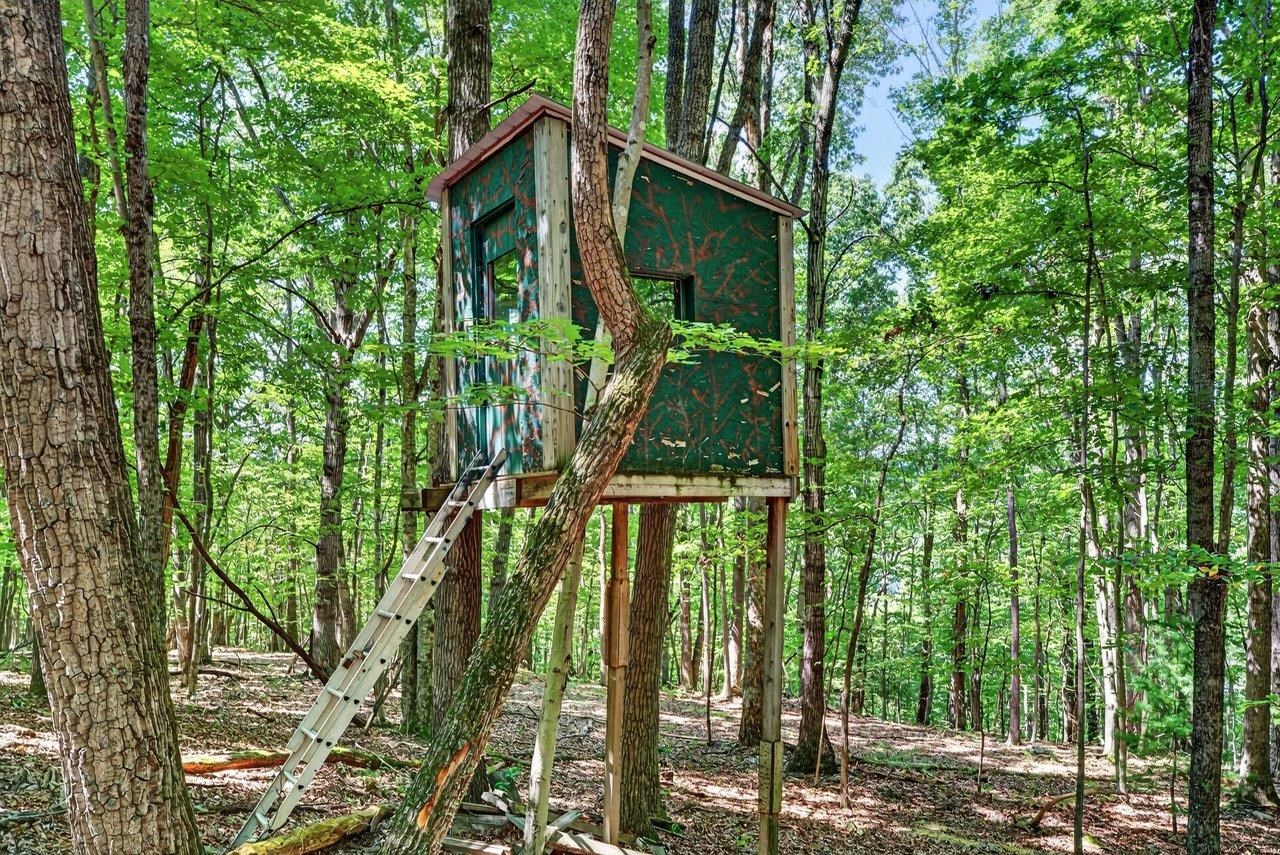 1874 TROXEL GAP RD, CRAIGSVILLE, Virginia 24430, 3 Bedrooms Bedrooms, ,2 BathroomsBathrooms,Residential,1874 TROXEL GAP RD,681563 MLS # 681563 1874 TROXEL GAP RD, CRAIGSVILLE, Virginia 24430, 3 Bedrooms Bedrooms, ,2 BathroomsBathrooms,Residential,1874 TROXEL GAP RD,681563 MLS # 681563