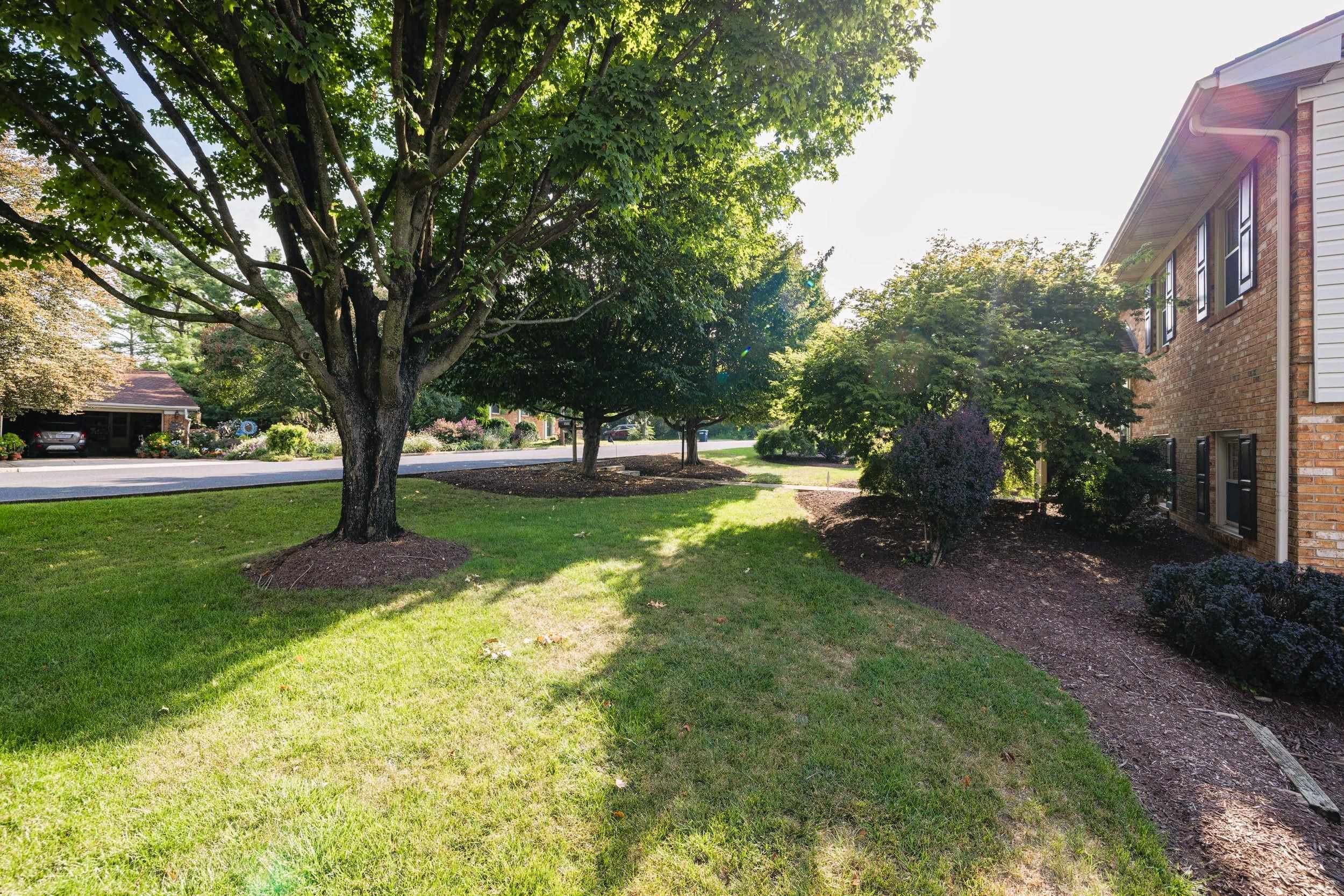 315 7TH ST, HARRISONBURG, Virginia 22802, 4 Bedrooms Bedrooms, ,2 BathroomsBathrooms,Residential,315 7TH ST,681566 MLS # 681566 315 7TH ST, HARRISONBURG, Virginia 22802, 4 Bedrooms Bedrooms, ,2 BathroomsBathrooms,Residential,315 7TH ST,681566 MLS # 681566