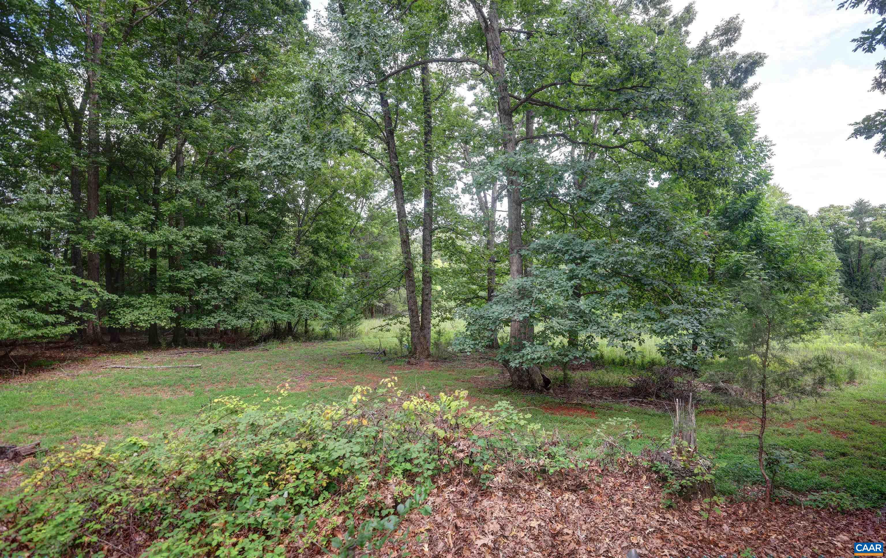 5034 STONY POINT PASS, KESWICK, Virginia 22947, 4 Bedrooms Bedrooms, ,3 BathroomsBathrooms,Residential,WALNUT GROVE,5034 STONY POINT PASS,681605 MLS # 681605 5034 STONY POINT PASS, KESWICK, Virginia 22947, 4 Bedrooms Bedrooms, ,3 BathroomsBathrooms,Residential,WALNUT GROVE,5034 STONY POINT PASS,681605 MLS # 681605