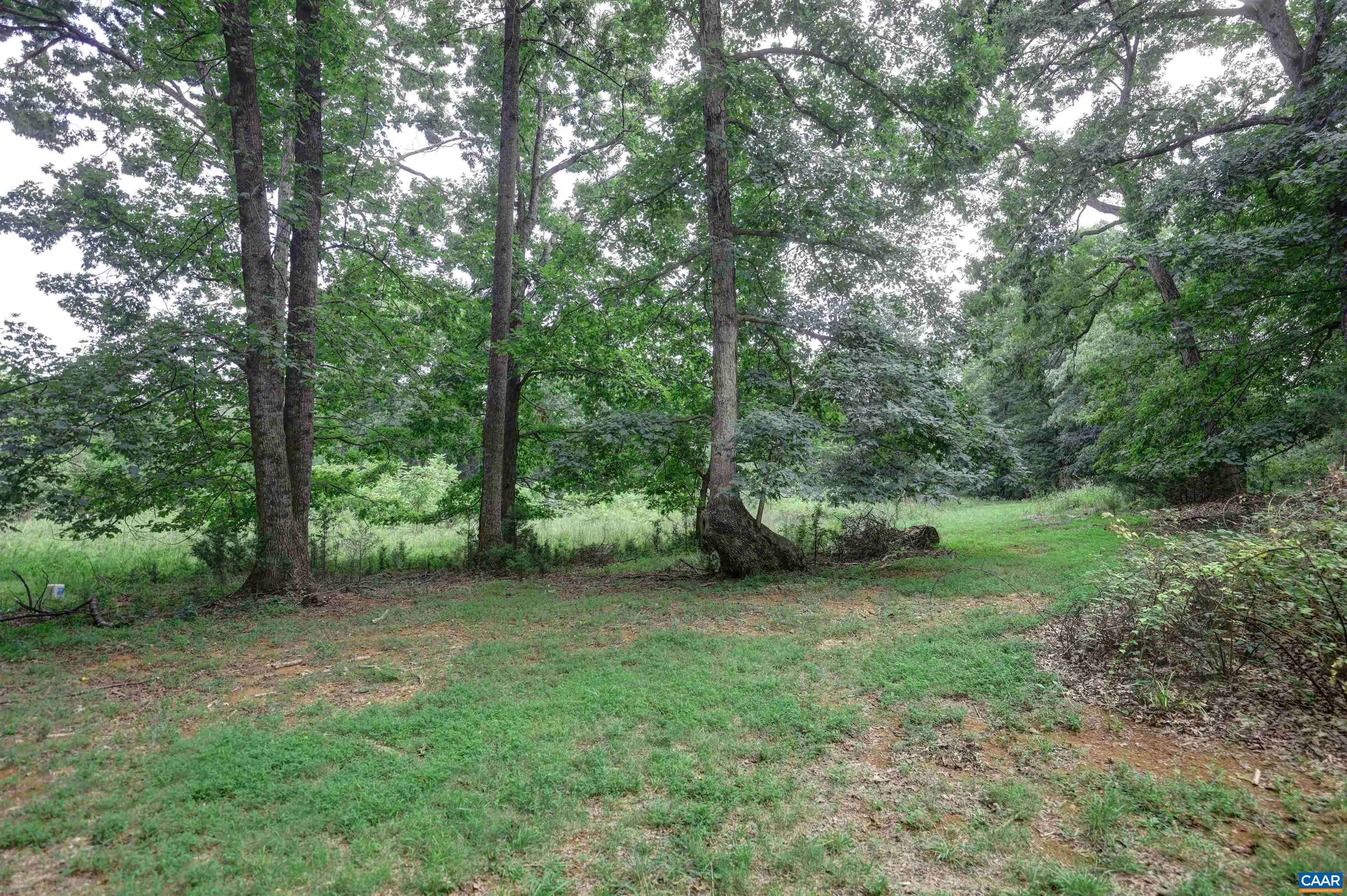 5034 STONY POINT PASS, KESWICK, Virginia 22947, 4 Bedrooms Bedrooms, ,3 BathroomsBathrooms,Residential,WALNUT GROVE,5034 STONY POINT PASS,681605 MLS # 681605 5034 STONY POINT PASS, KESWICK, Virginia 22947, 4 Bedrooms Bedrooms, ,3 BathroomsBathrooms,Residential,WALNUT GROVE,5034 STONY POINT PASS,681605 MLS # 681605
