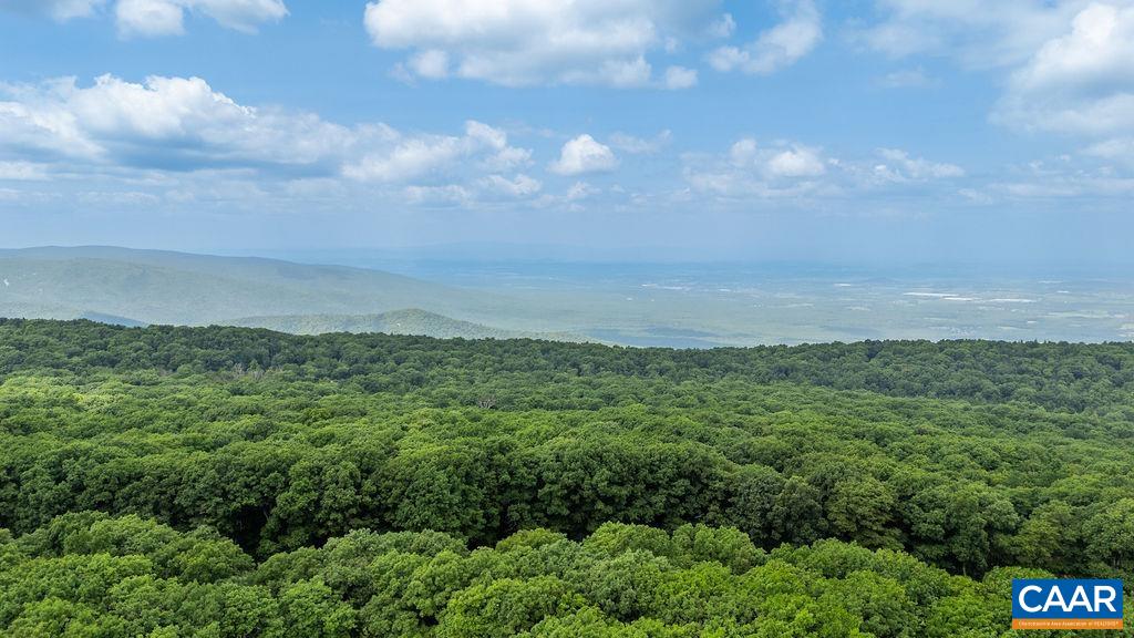 3203 NORTH RIDGE CONDOS, WINTERGREEN RESORT, Virginia 22967, 2 Bedrooms Bedrooms, ,2 BathroomsBathrooms,Residential,3203 NORTH RIDGE CONDOS,681606 MLS # 681606 3203 NORTH RIDGE CONDOS, WINTERGREEN RESORT, Virginia 22967, 2 Bedrooms Bedrooms, ,2 BathroomsBathrooms,Residential,3203 NORTH RIDGE CONDOS,681606 MLS # 681606