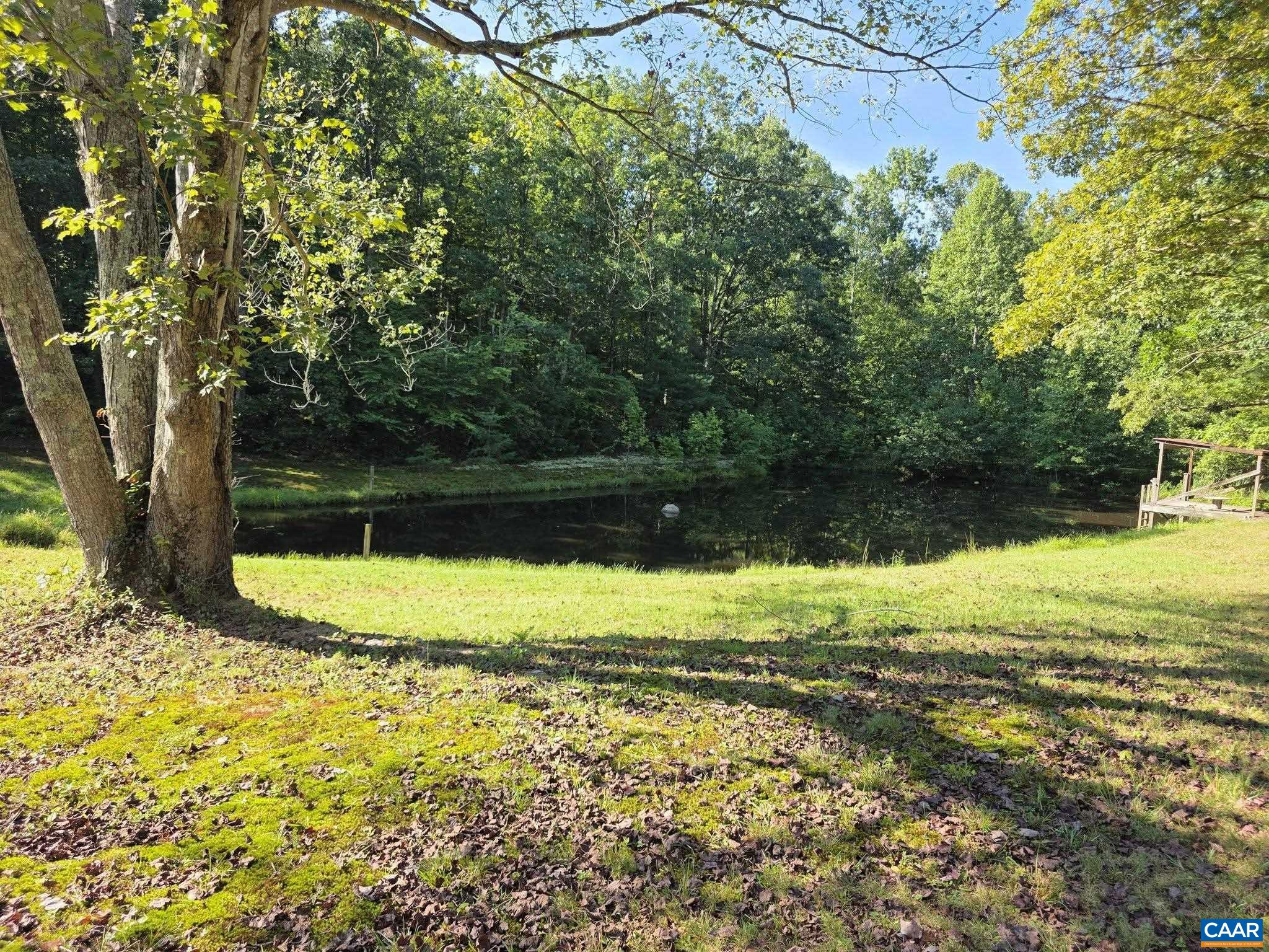 TBD1 BROKENBACK MOUNTAIN RD, DYKE, Virginia 22935, 3 Bedrooms Bedrooms, ,2 BathroomsBathrooms,Residential,TBD1 BROKENBACK MOUNTAIN RD,681608 MLS # 681608 TBD1 BROKENBACK MOUNTAIN RD, DYKE, Virginia 22935, 3 Bedrooms Bedrooms, ,2 BathroomsBathrooms,Residential,TBD1 BROKENBACK MOUNTAIN RD,681608 MLS # 681608