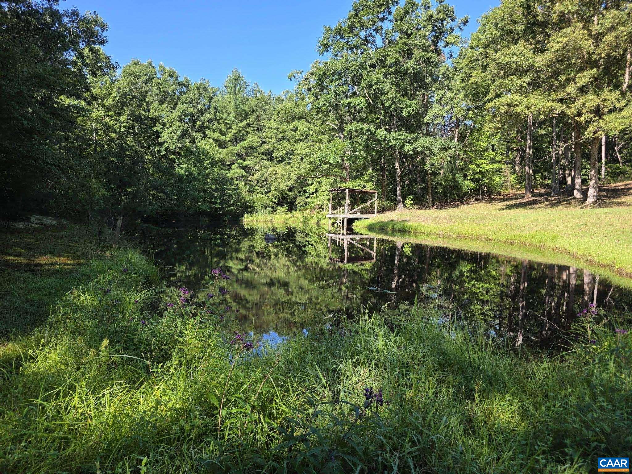 TBD1 BROKENBACK MOUNTAIN RD, DYKE, Virginia 22935, 3 Bedrooms Bedrooms, ,2 BathroomsBathrooms,Residential,TBD1 BROKENBACK MOUNTAIN RD,681608 MLS # 681608 TBD1 BROKENBACK MOUNTAIN RD, DYKE, Virginia 22935, 3 Bedrooms Bedrooms, ,2 BathroomsBathrooms,Residential,TBD1 BROKENBACK MOUNTAIN RD,681608 MLS # 681608