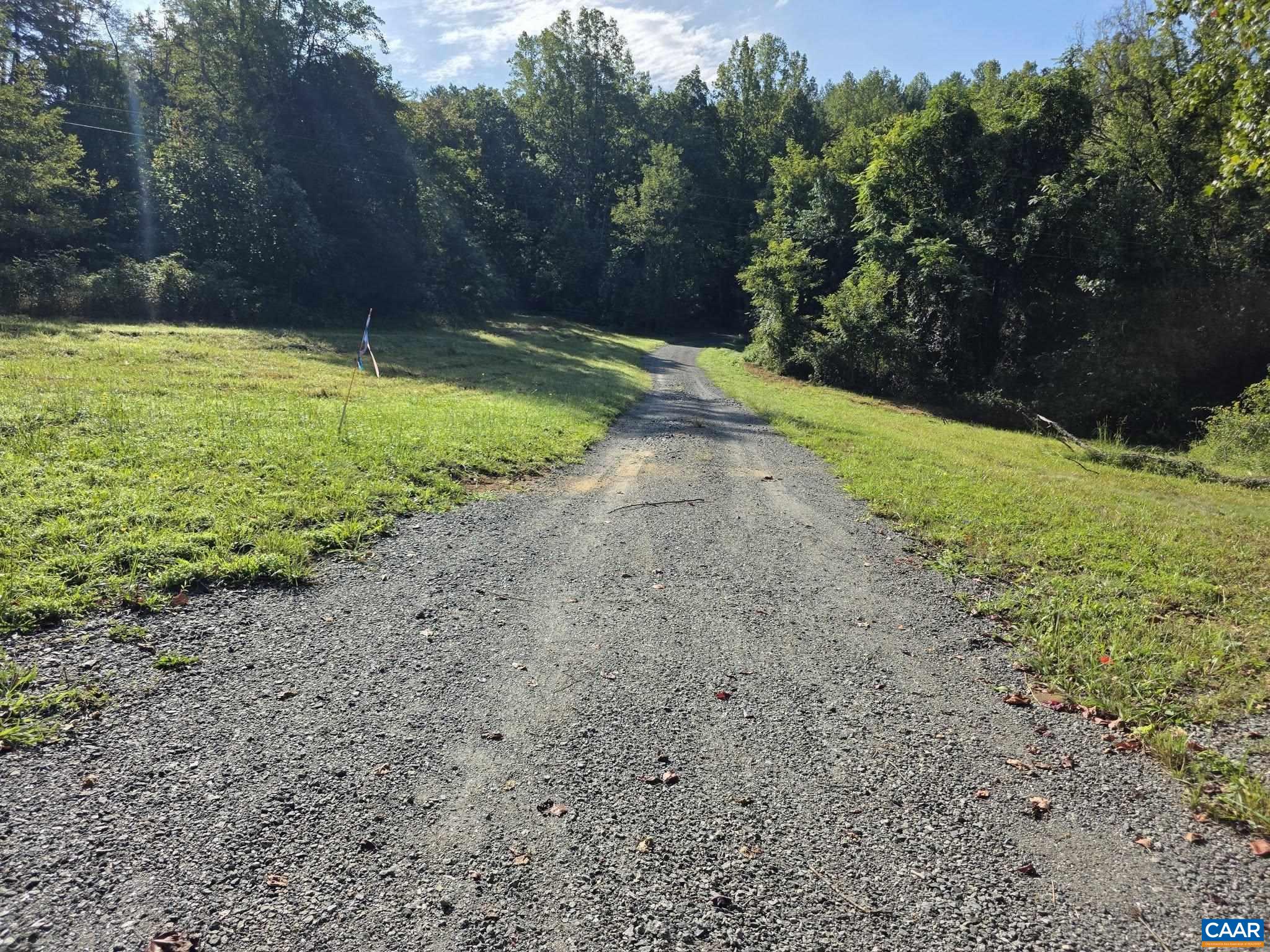 TBD1 BROKENBACK MOUNTAIN RD, DYKE, Virginia 22935, 3 Bedrooms Bedrooms, ,2 BathroomsBathrooms,Residential,TBD1 BROKENBACK MOUNTAIN RD,681608 MLS # 681608 TBD1 BROKENBACK MOUNTAIN RD, DYKE, Virginia 22935, 3 Bedrooms Bedrooms, ,2 BathroomsBathrooms,Residential,TBD1 BROKENBACK MOUNTAIN RD,681608 MLS # 681608