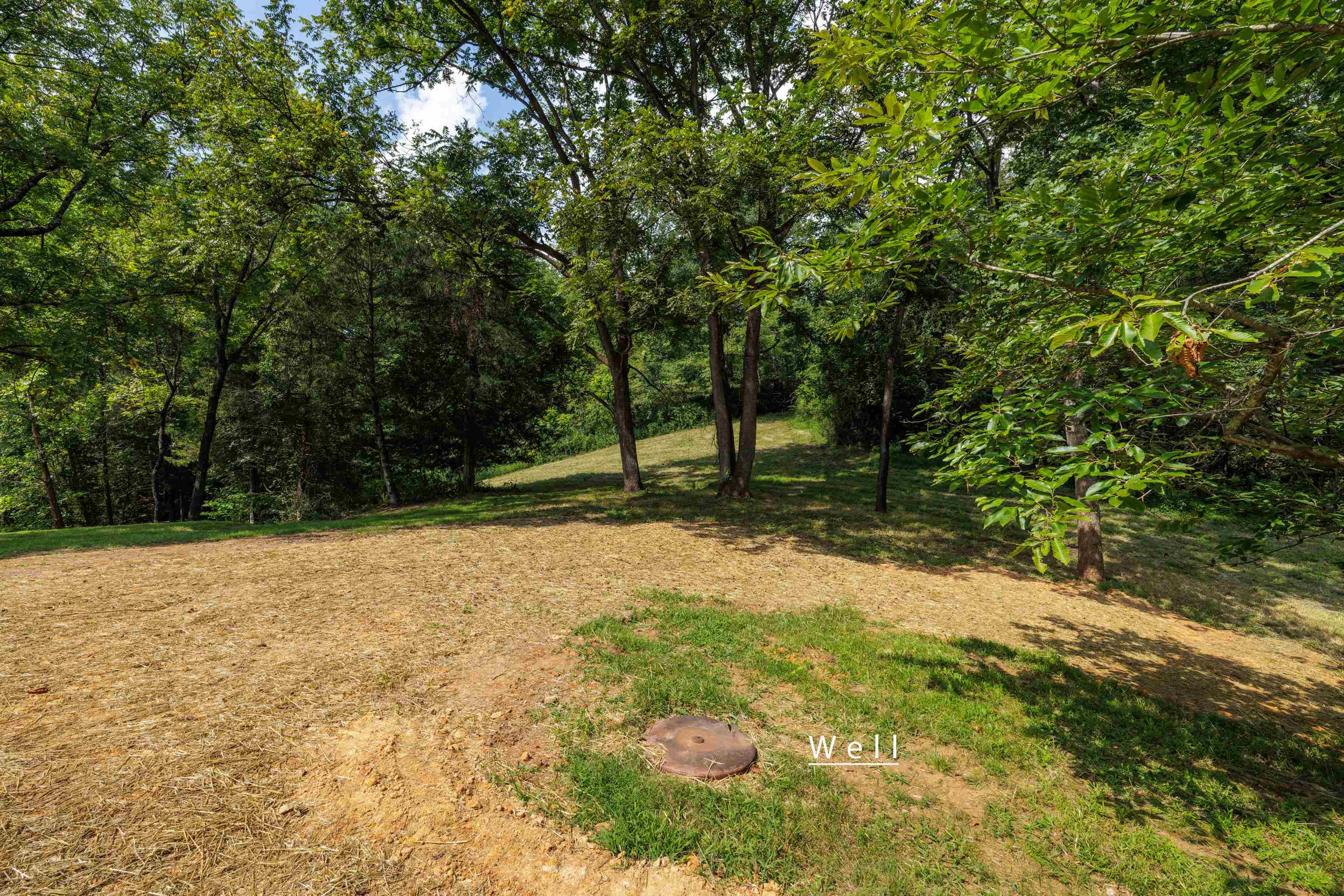 188 POUNDING BRANCH RD, AFTON, Virginia 22920, ,Land,188 POUNDING BRANCH RD,681610 MLS # 681610