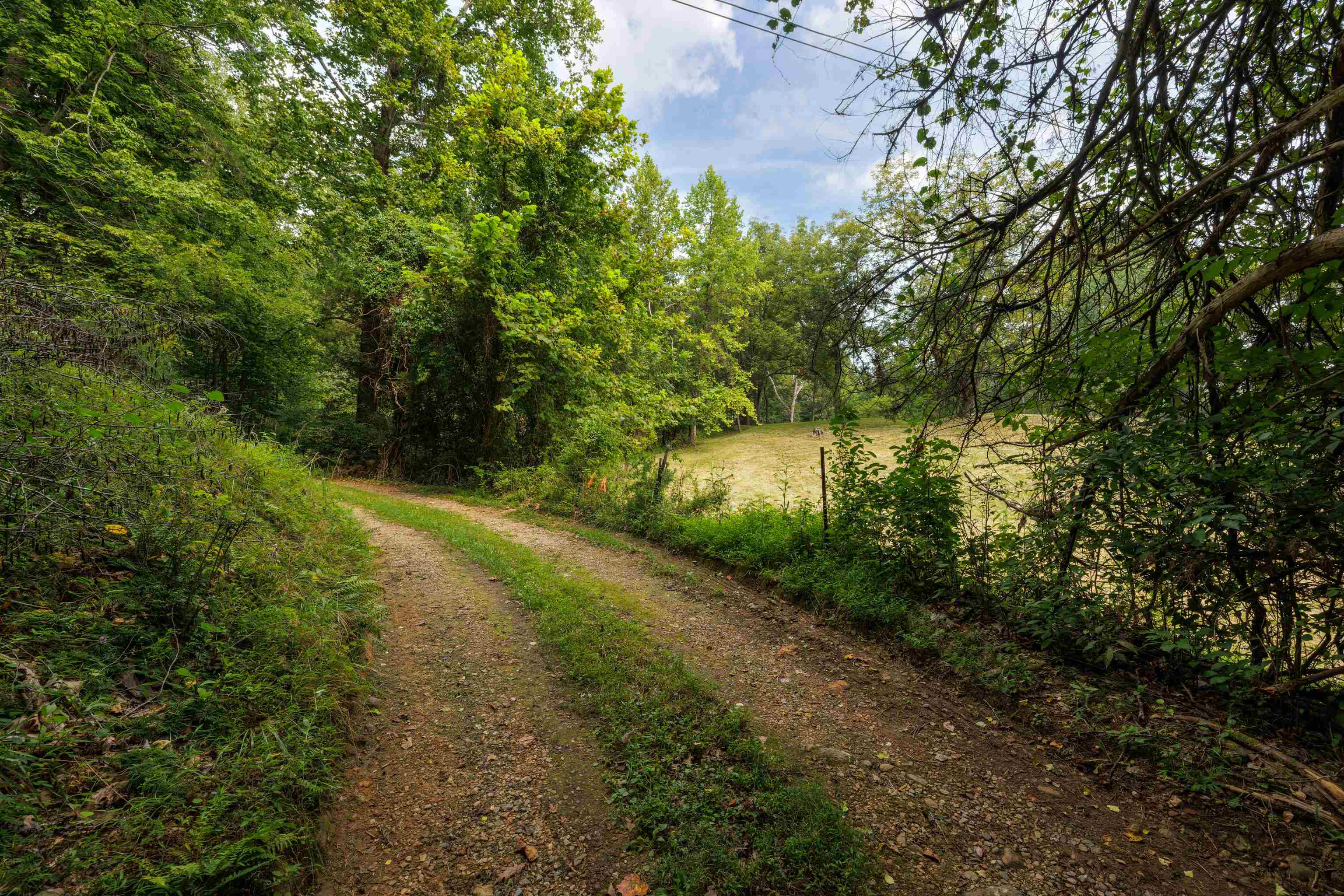 188 POUNDING BRANCH RD, AFTON, Virginia 22920, ,Land,188 POUNDING BRANCH RD,681610 MLS # 681610