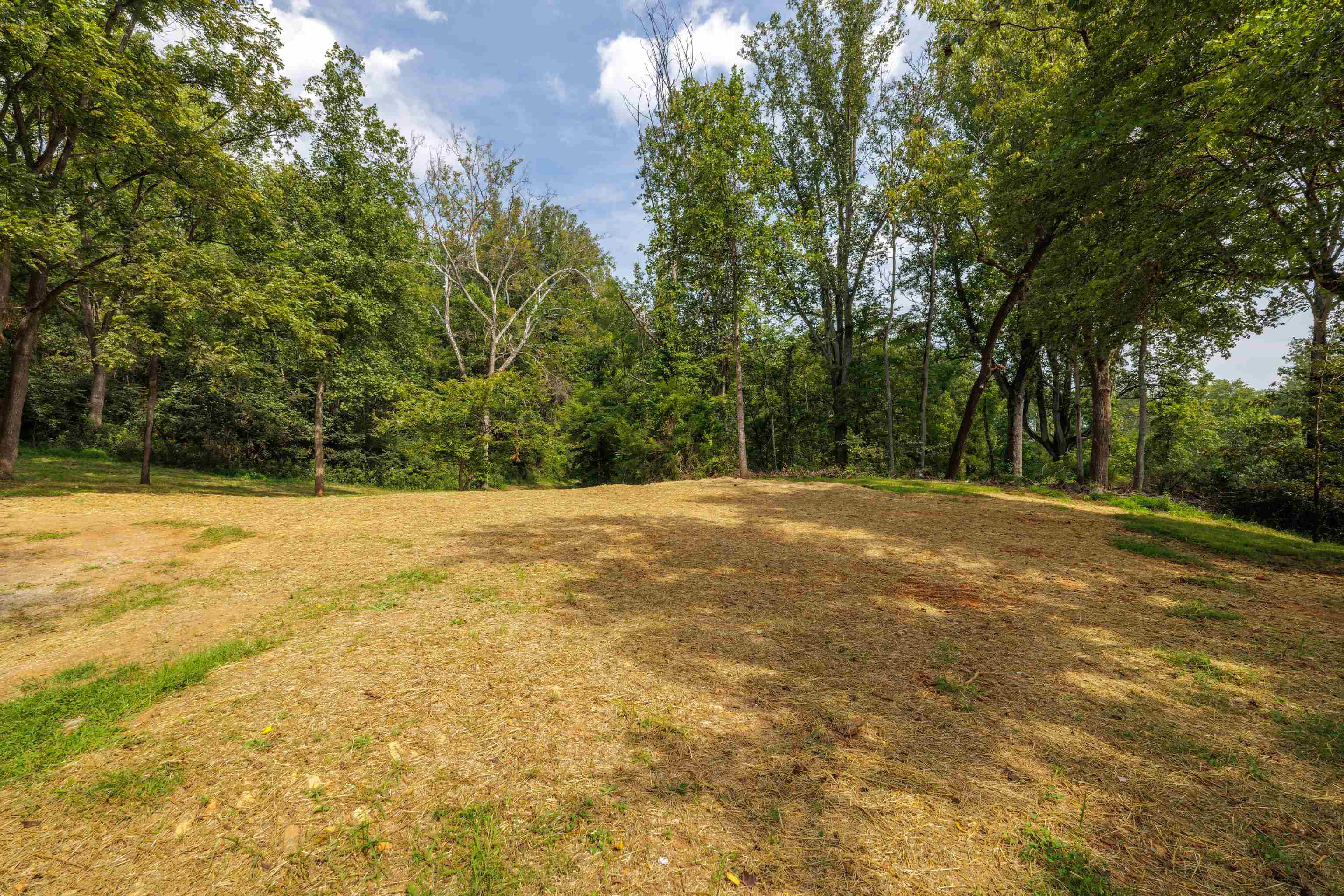 188 POUNDING BRANCH RD, AFTON, Virginia 22920, ,Land,188 POUNDING BRANCH RD,681610 MLS # 681610