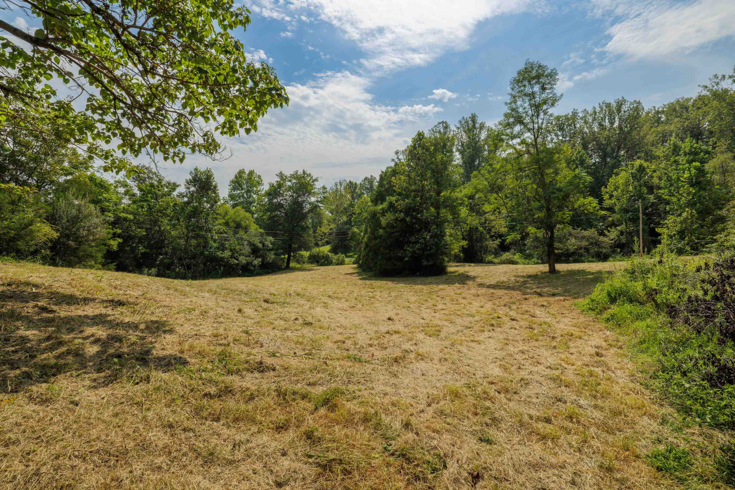 188 POUNDING BRANCH RD, AFTON, Virginia 22920, ,Land,188 POUNDING BRANCH RD,681610 MLS # 681610