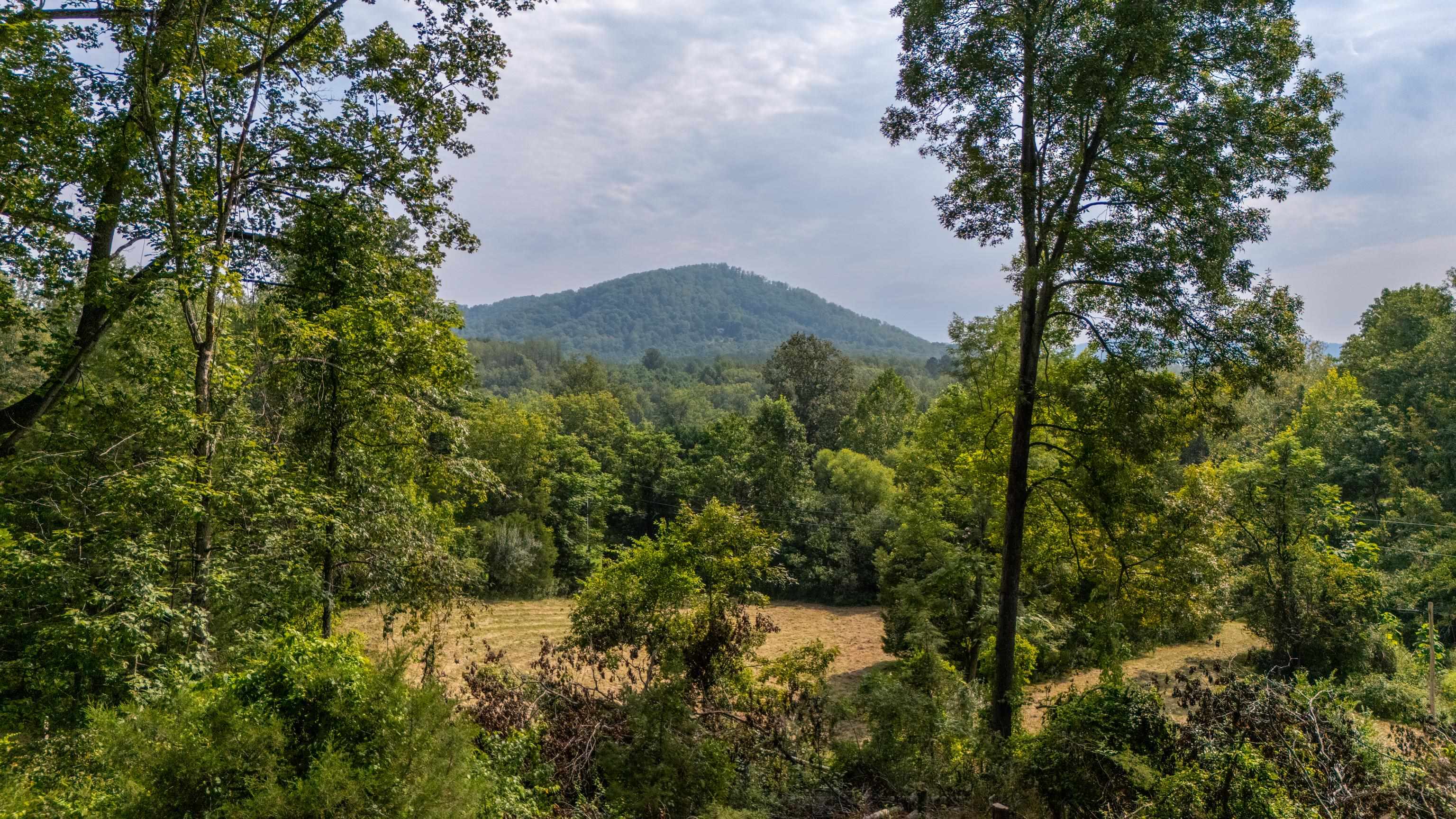 188 POUNDING BRANCH RD, AFTON, Virginia 22920, ,Land,188 POUNDING BRANCH RD,681610 MLS # 681610