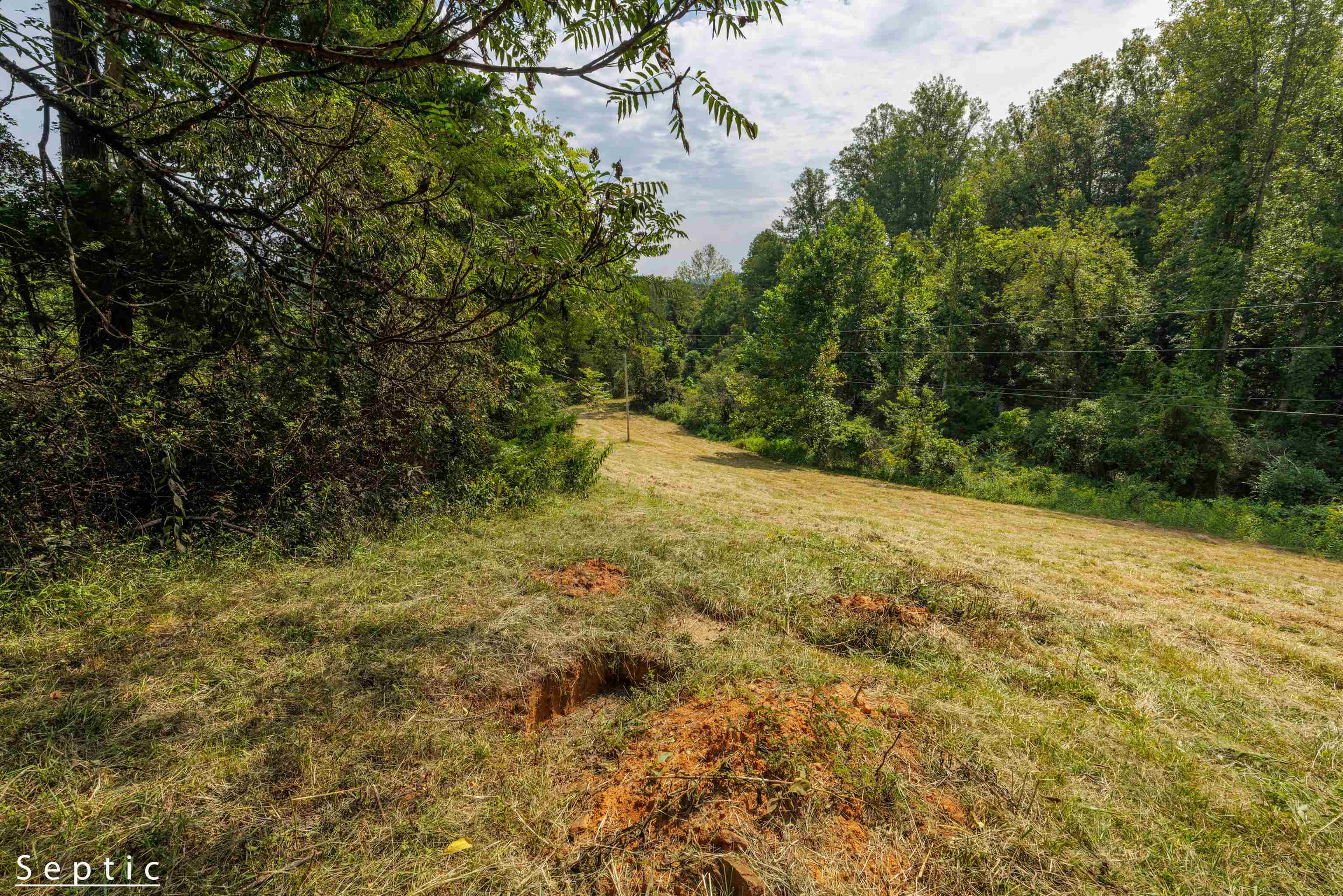 188 POUNDING BRANCH RD, AFTON, Virginia 22920, ,Land,188 POUNDING BRANCH RD,681610 MLS # 681610