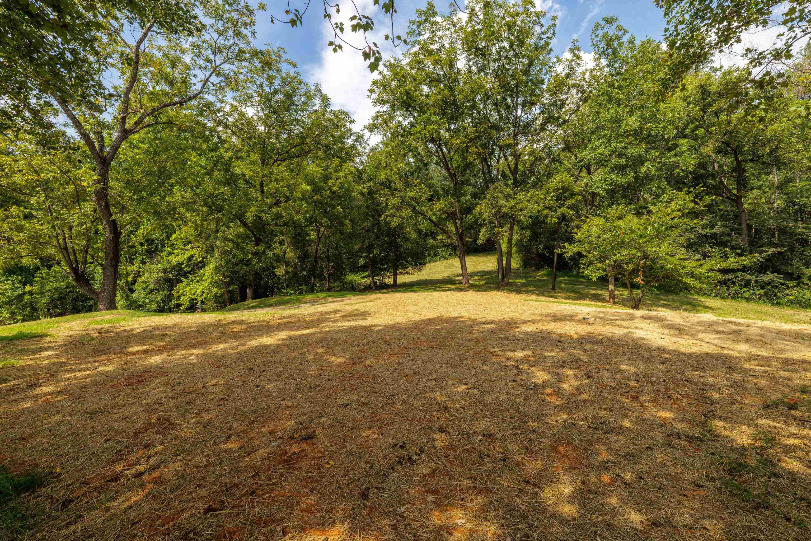 188 POUNDING BRANCH RD, AFTON, Virginia 22920, ,Land,188 POUNDING BRANCH RD,681610 MLS # 681610