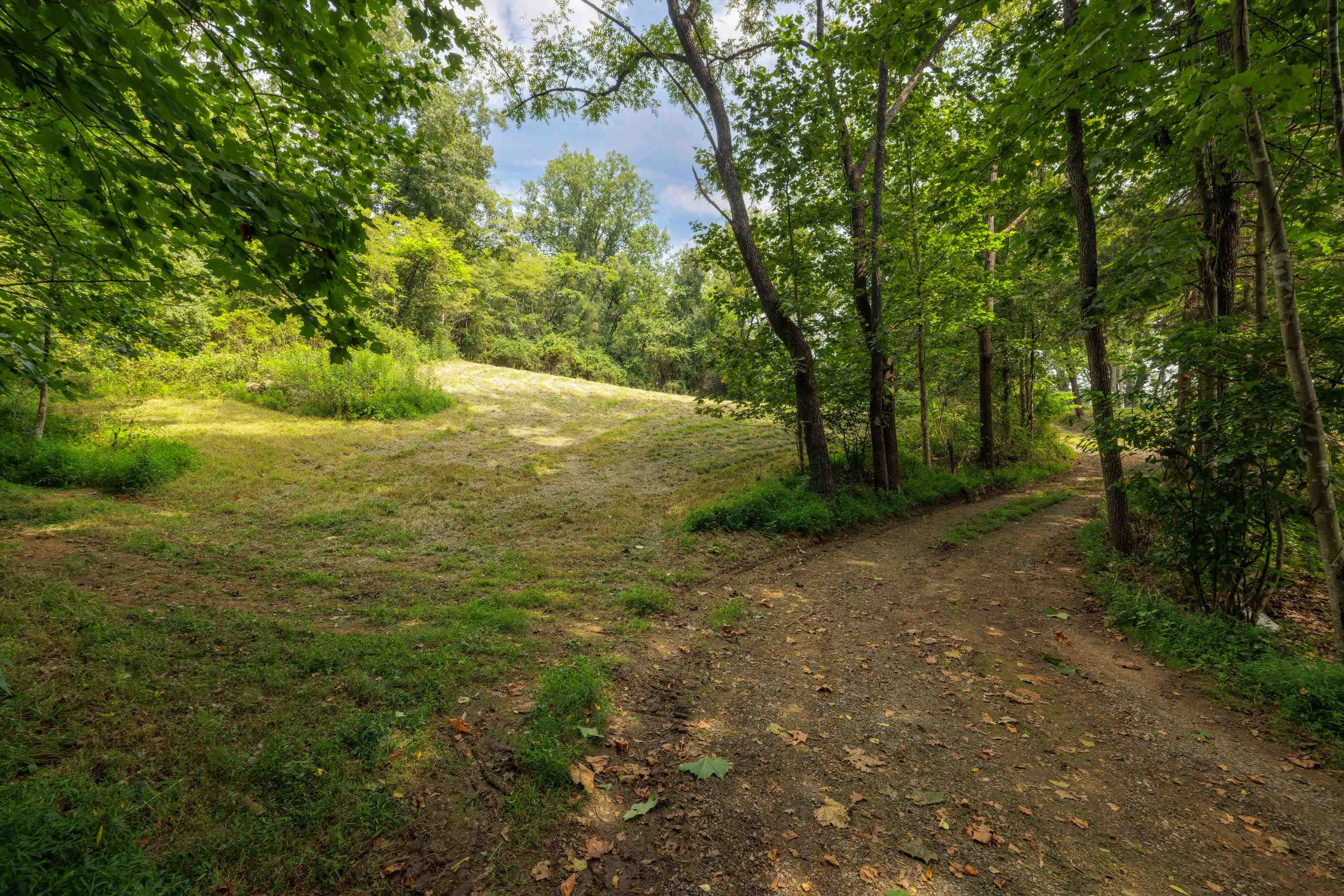 188 POUNDING BRANCH RD, AFTON, Virginia 22920, ,Land,188 POUNDING BRANCH RD,681610 MLS # 681610