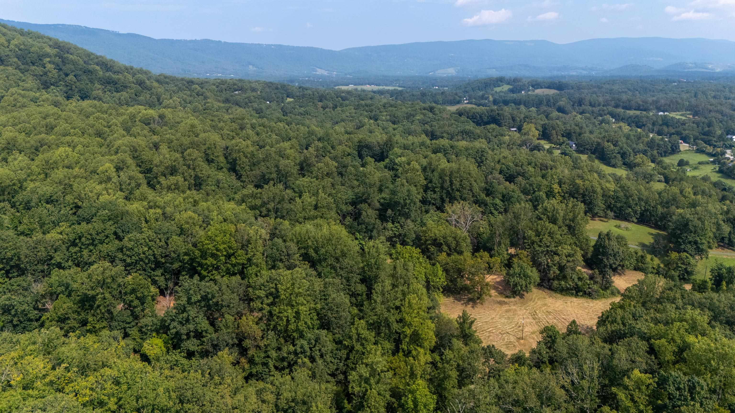 188 POUNDING BRANCH RD, AFTON, Virginia 22920, ,Land,188 POUNDING BRANCH RD,681610 MLS # 681610