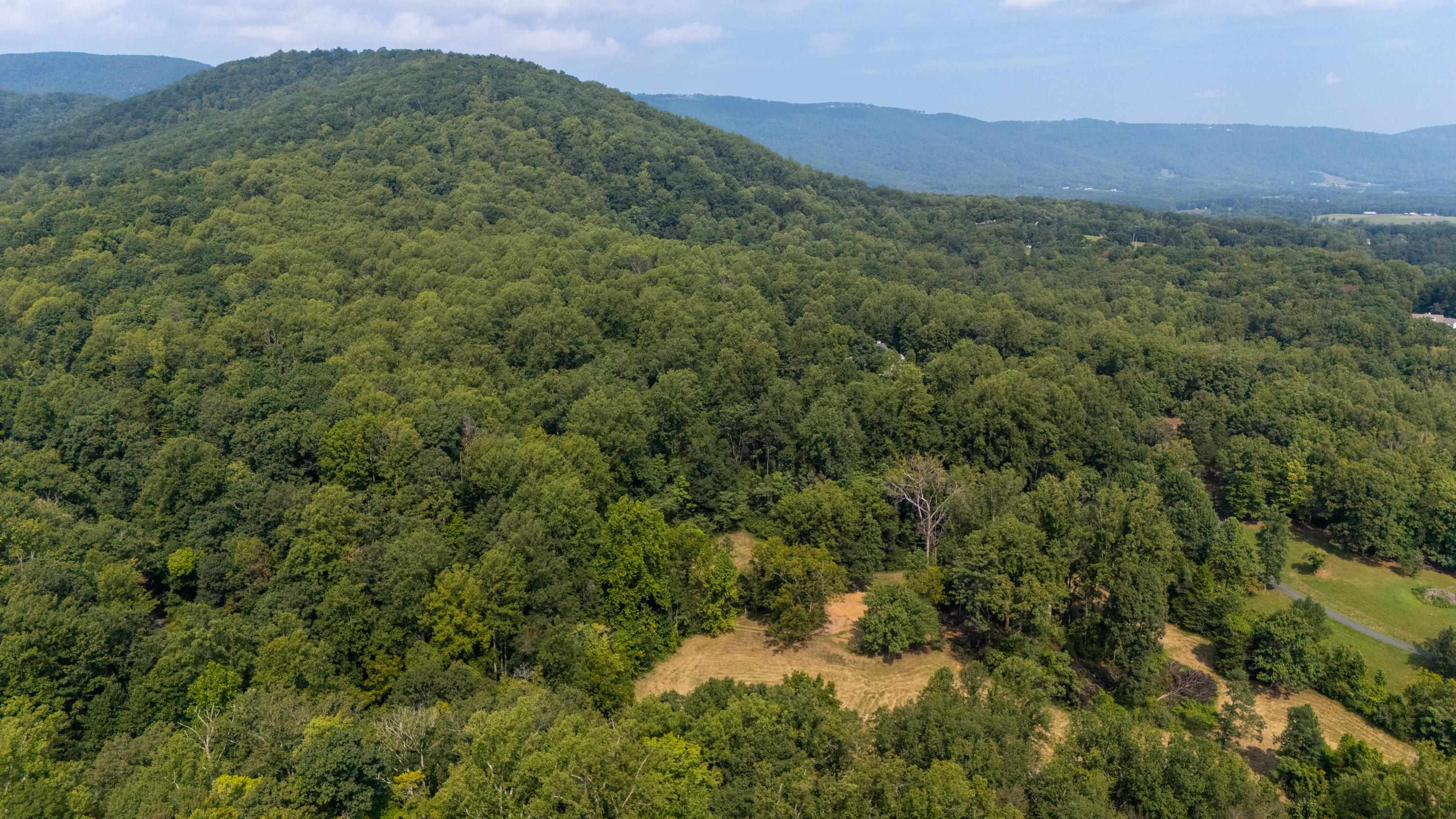 188 POUNDING BRANCH RD, AFTON, Virginia 22920, ,Land,188 POUNDING BRANCH RD,681610 MLS # 681610