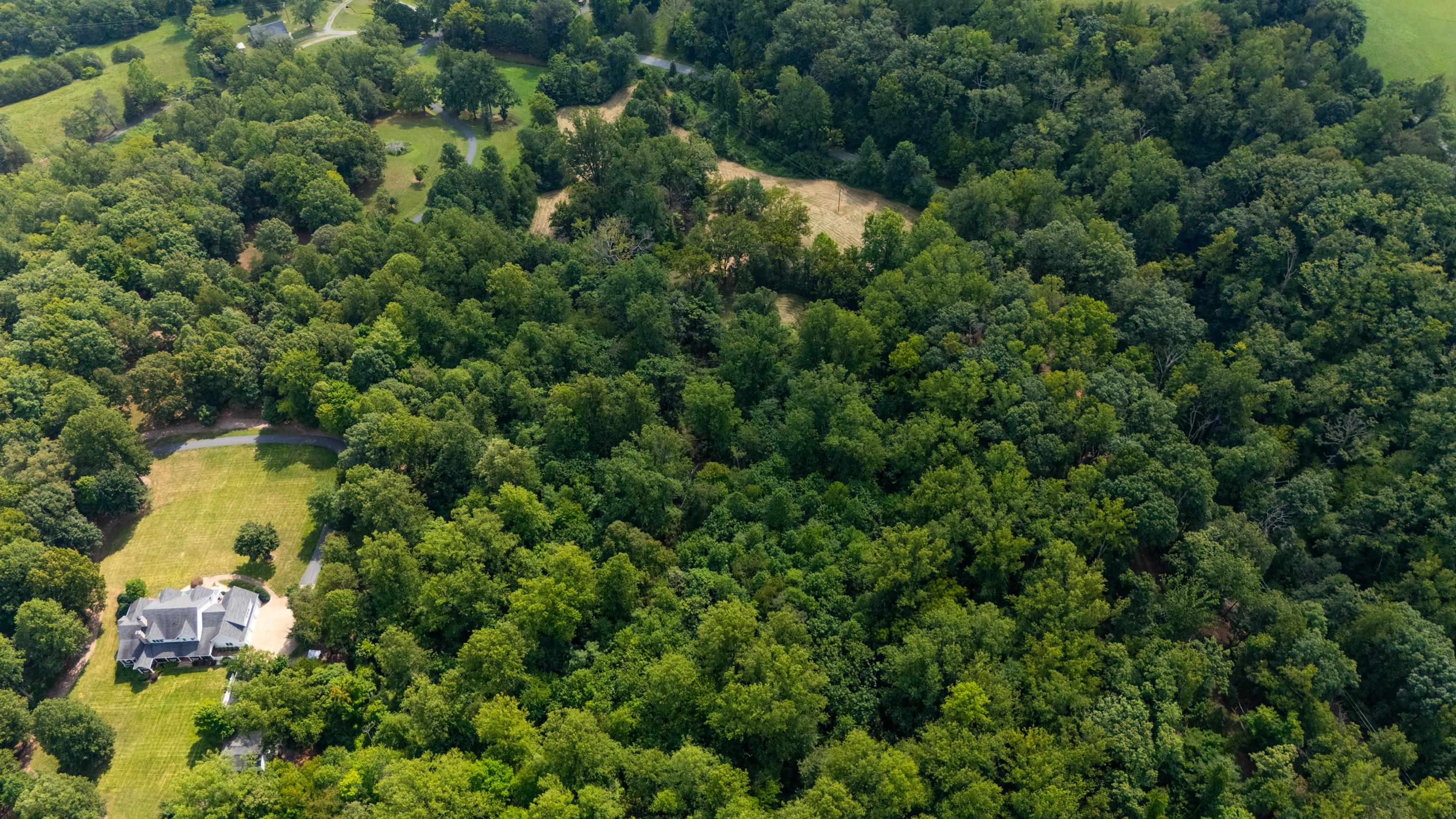 188 POUNDING BRANCH RD, AFTON, Virginia 22920, ,Land,188 POUNDING BRANCH RD,681610 MLS # 681610