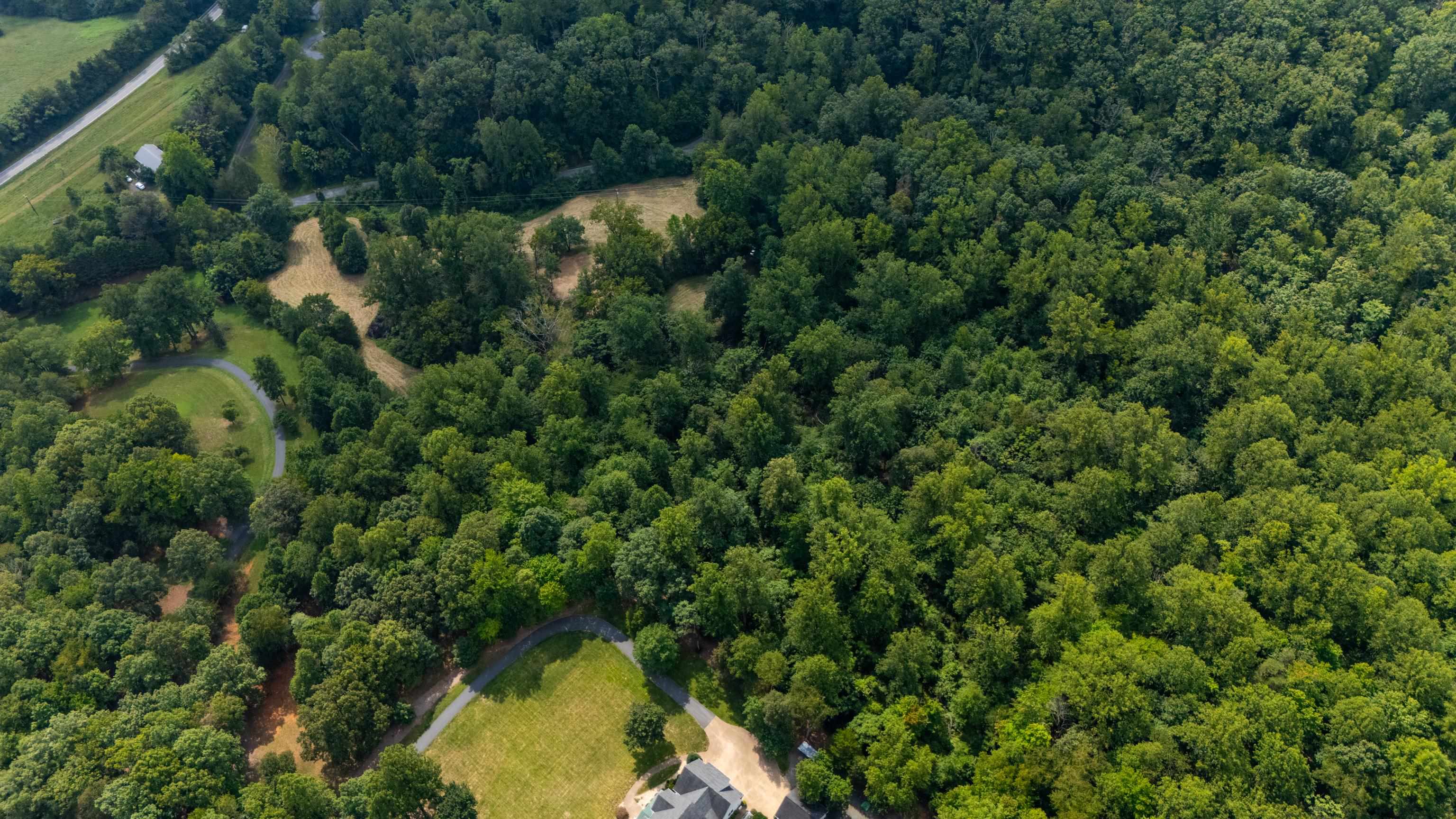 188 POUNDING BRANCH RD, AFTON, Virginia 22920, ,Land,188 POUNDING BRANCH RD,681610 MLS # 681610