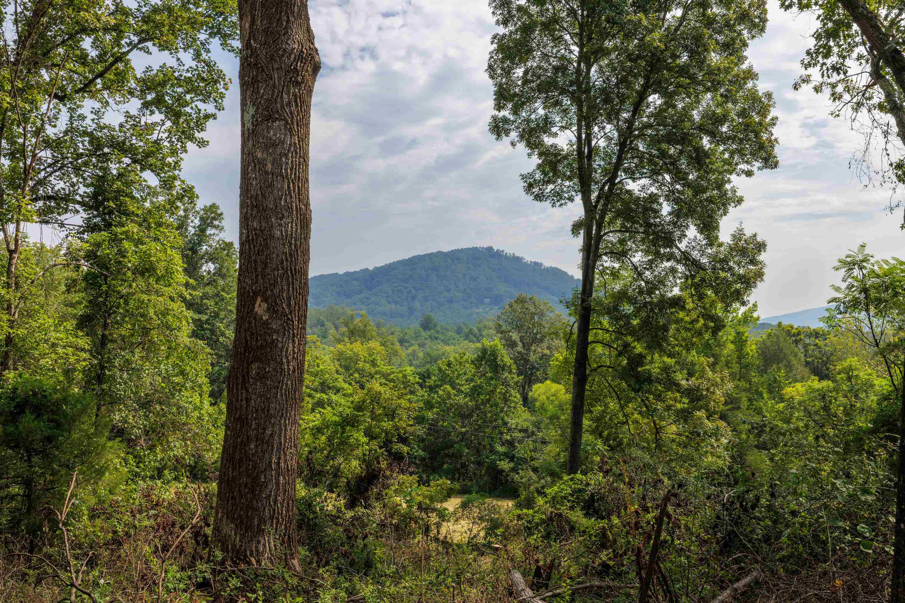 188 POUNDING BRANCH RD, AFTON, Virginia 22920, ,Land,188 POUNDING BRANCH RD,681610 MLS # 681610