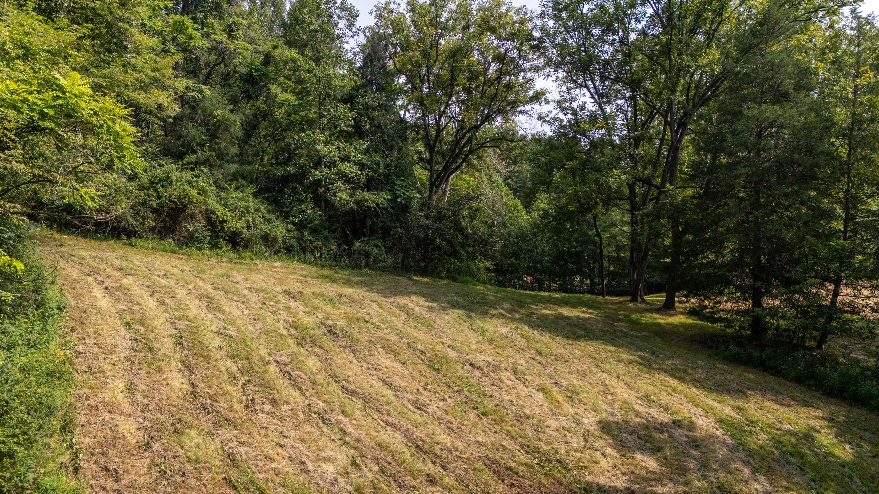 188 POUNDING BRANCH RD, AFTON, Virginia 22920, ,Land,188 POUNDING BRANCH RD,681610 MLS # 681610