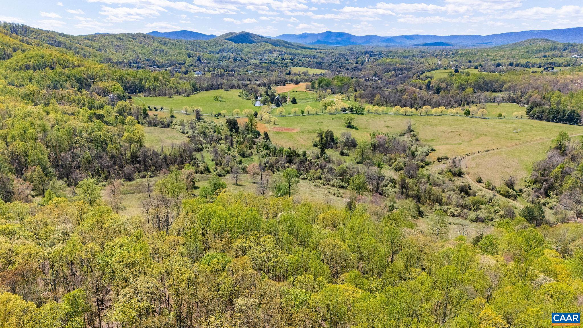 21 acres TBB BLOOMFIELD RD, CHARLOTTESVILLE, Virginia 22903, 5 Bedrooms Bedrooms, ,5 BathroomsBathrooms,Residential,21 acres TBB BLOOMFIELD RD,678910 MLS # 678910 21 acres TBB BLOOMFIELD RD, CHARLOTTESVILLE, Virginia 22903, 5 Bedrooms Bedrooms, ,5 BathroomsBathrooms,Residential,21 acres TBB BLOOMFIELD RD,678910 MLS # 678910