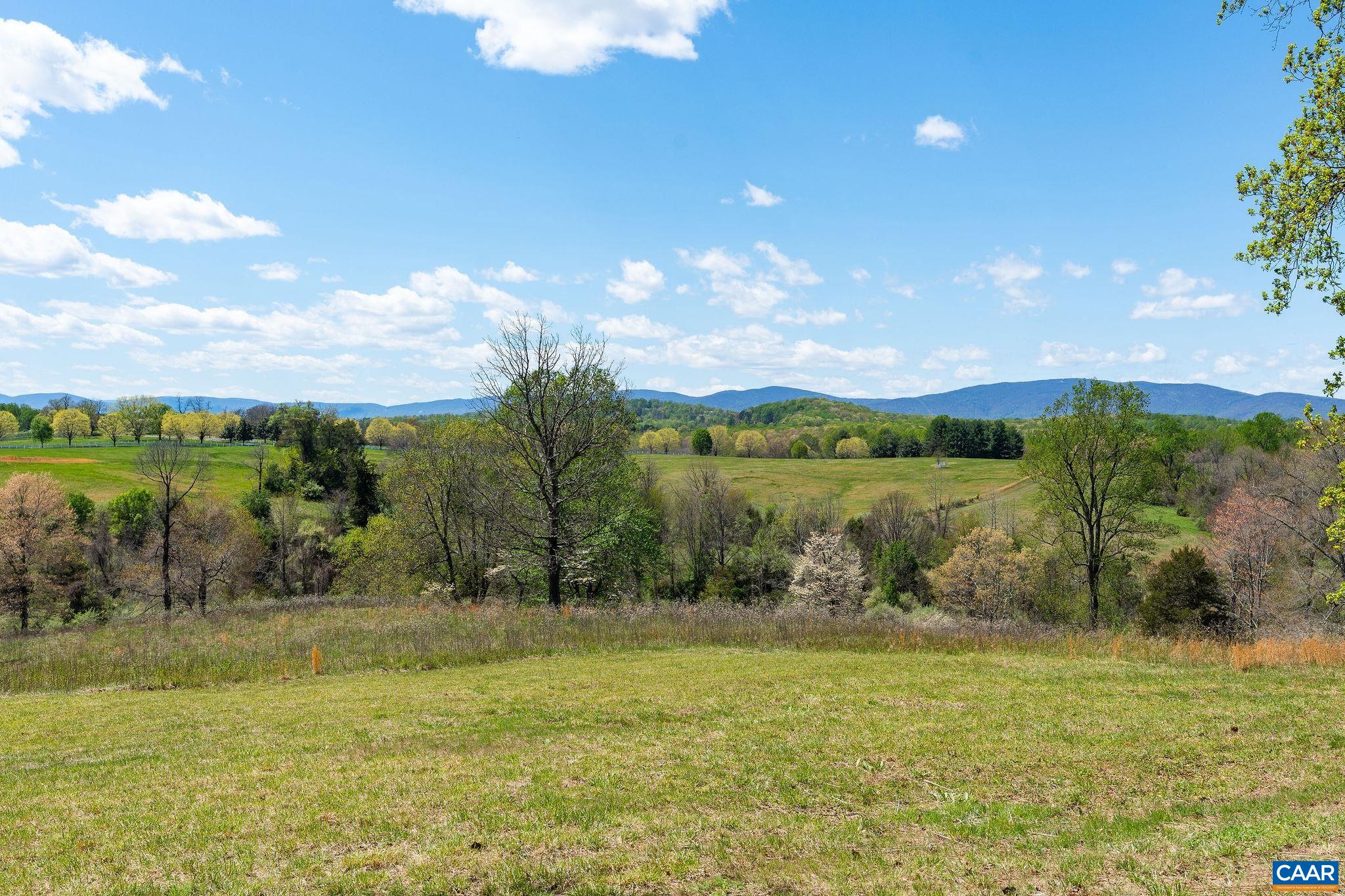 21 acres TBB BLOOMFIELD RD, CHARLOTTESVILLE, Virginia 22903, 5 Bedrooms Bedrooms, ,5 BathroomsBathrooms,Residential,21 acres TBB BLOOMFIELD RD,678910 MLS # 678910 21 acres TBB BLOOMFIELD RD, CHARLOTTESVILLE, Virginia 22903, 5 Bedrooms Bedrooms, ,5 BathroomsBathrooms,Residential,21 acres TBB BLOOMFIELD RD,678910 MLS # 678910