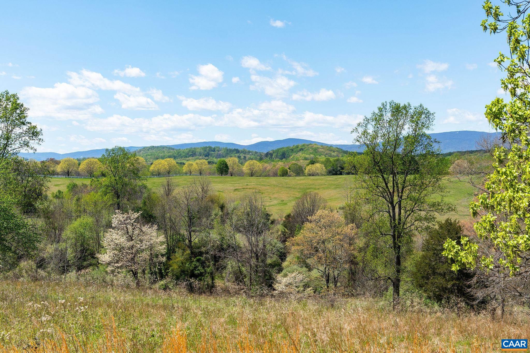 21 acres TBB BLOOMFIELD RD, CHARLOTTESVILLE, Virginia 22903, 5 Bedrooms Bedrooms, ,5 BathroomsBathrooms,Residential,21 acres TBB BLOOMFIELD RD,678910 MLS # 678910 21 acres TBB BLOOMFIELD RD, CHARLOTTESVILLE, Virginia 22903, 5 Bedrooms Bedrooms, ,5 BathroomsBathrooms,Residential,21 acres TBB BLOOMFIELD RD,678910 MLS # 678910