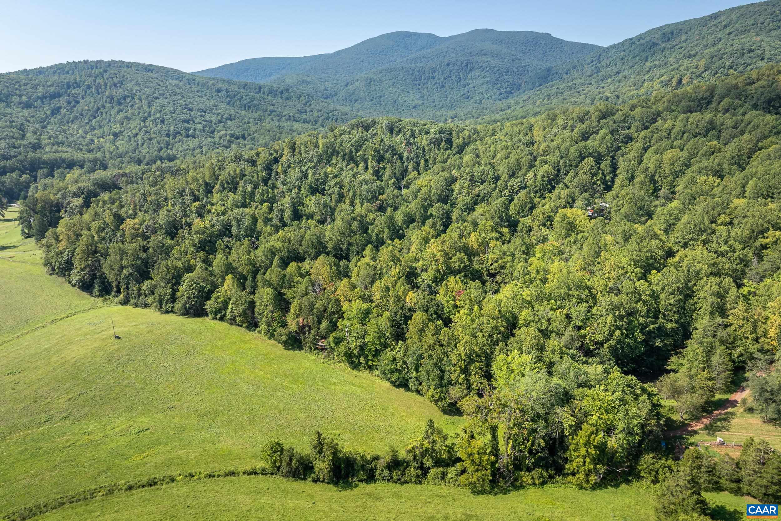 TBD CARLTON LN, AFTON, Virginia 22920, ,Land,TBD CARLTON LN,681619 MLS # 681619