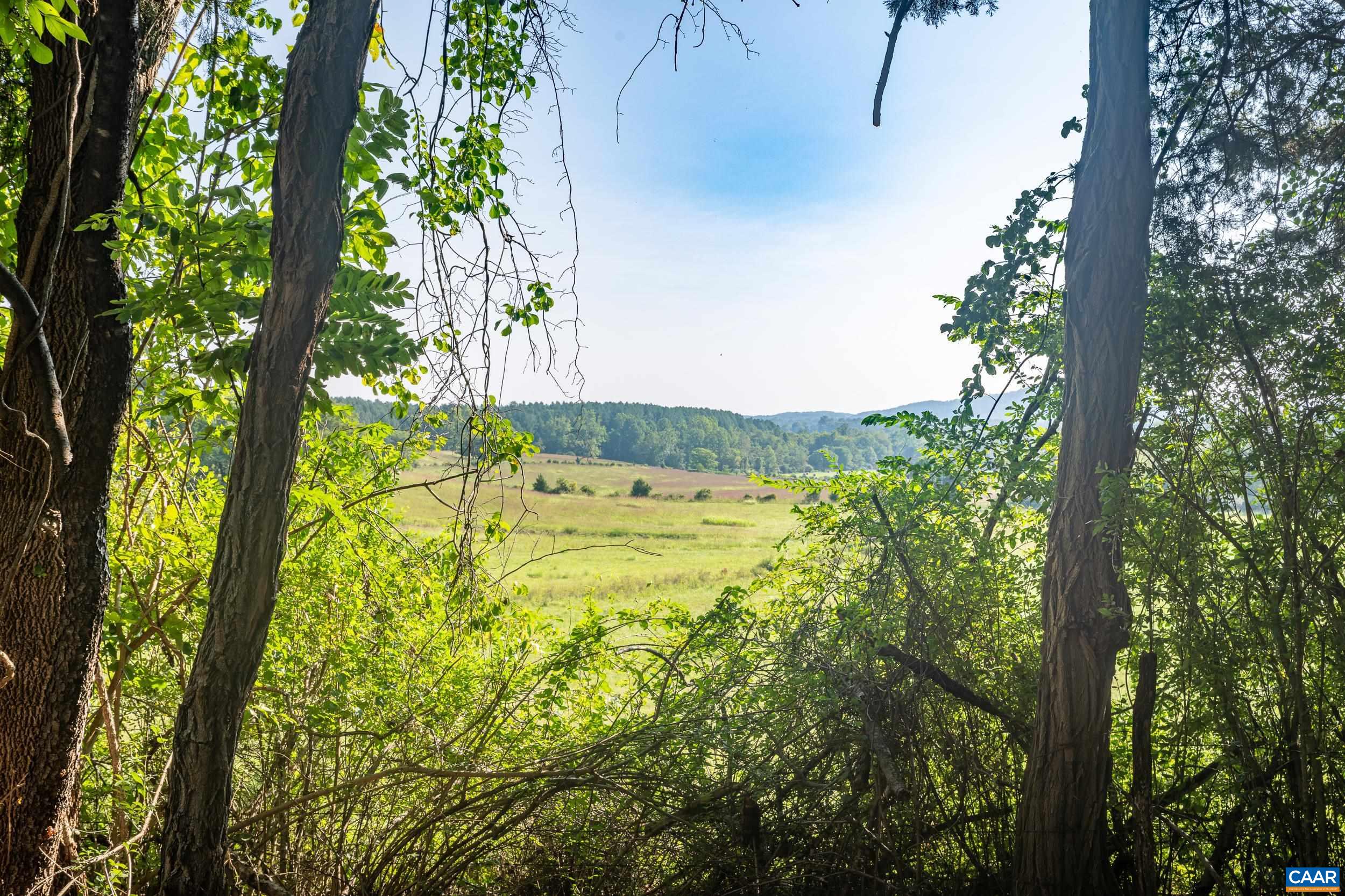 TBD CARLTON LN, AFTON, Virginia 22920, ,Land,TBD CARLTON LN,681619 MLS # 681619