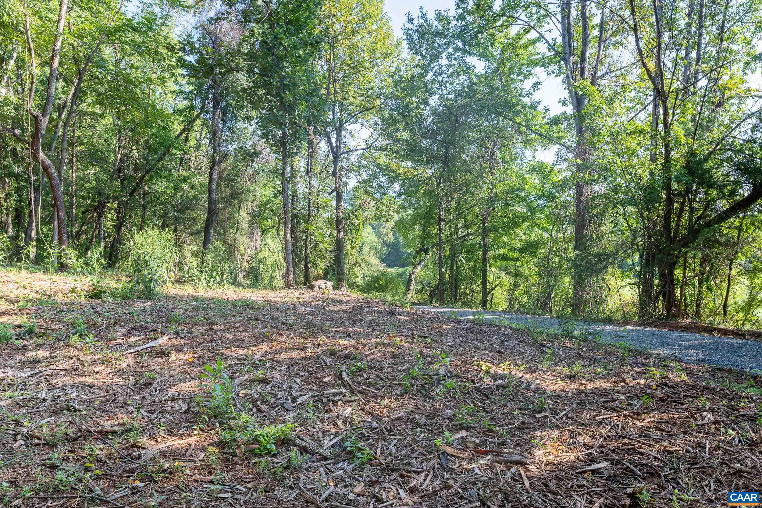 TBD CARLTON LN, AFTON, Virginia 22920, ,Land,TBD CARLTON LN,681619 MLS # 681619