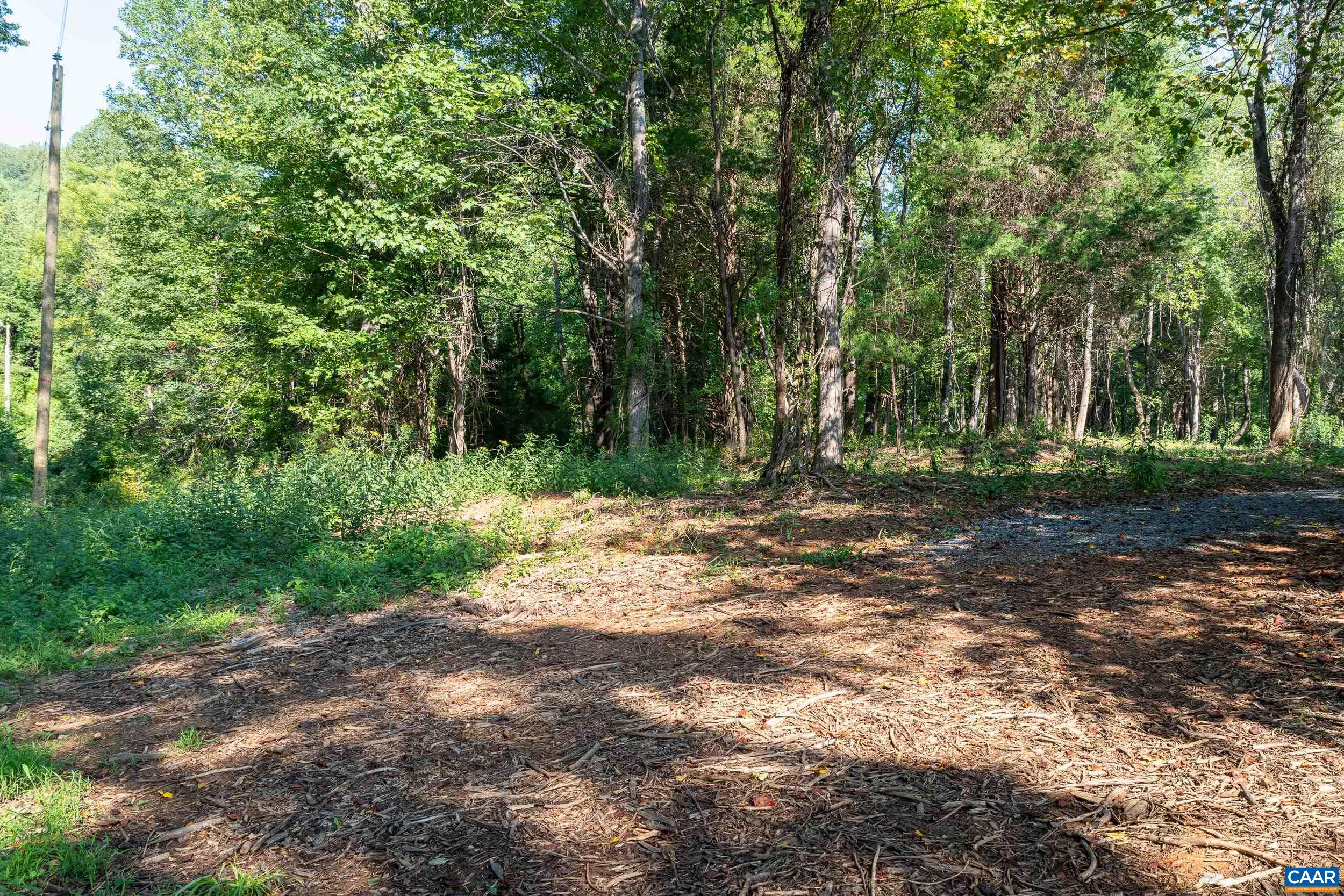 TBD CARLTON LN, AFTON, Virginia 22920, ,Land,TBD CARLTON LN,681619 MLS # 681619