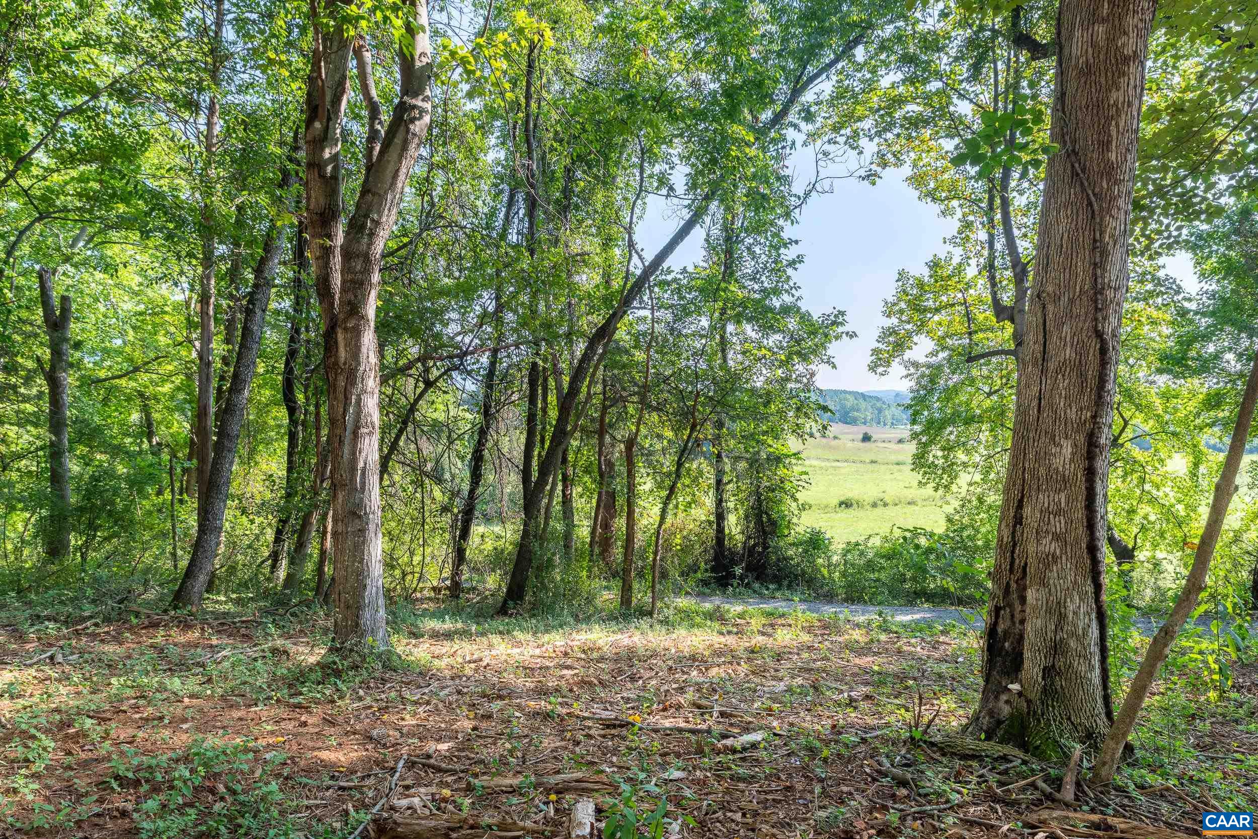 TBD CARLTON LN, AFTON, Virginia 22920, ,Land,TBD CARLTON LN,681619 MLS # 681619