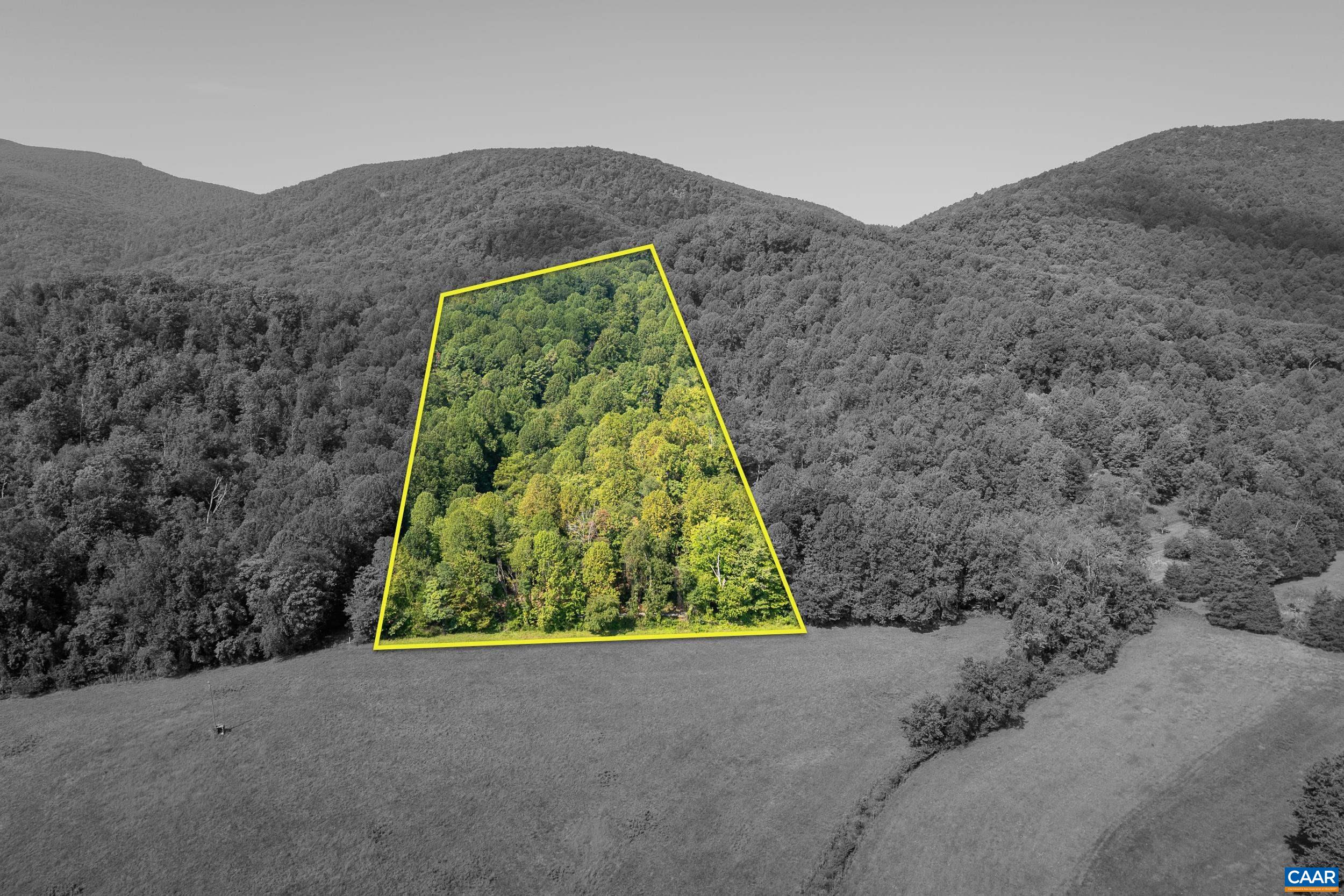 TBD CARLTON LN, AFTON, Virginia 22920, ,Land,TBD CARLTON LN,681619 MLS # 681619