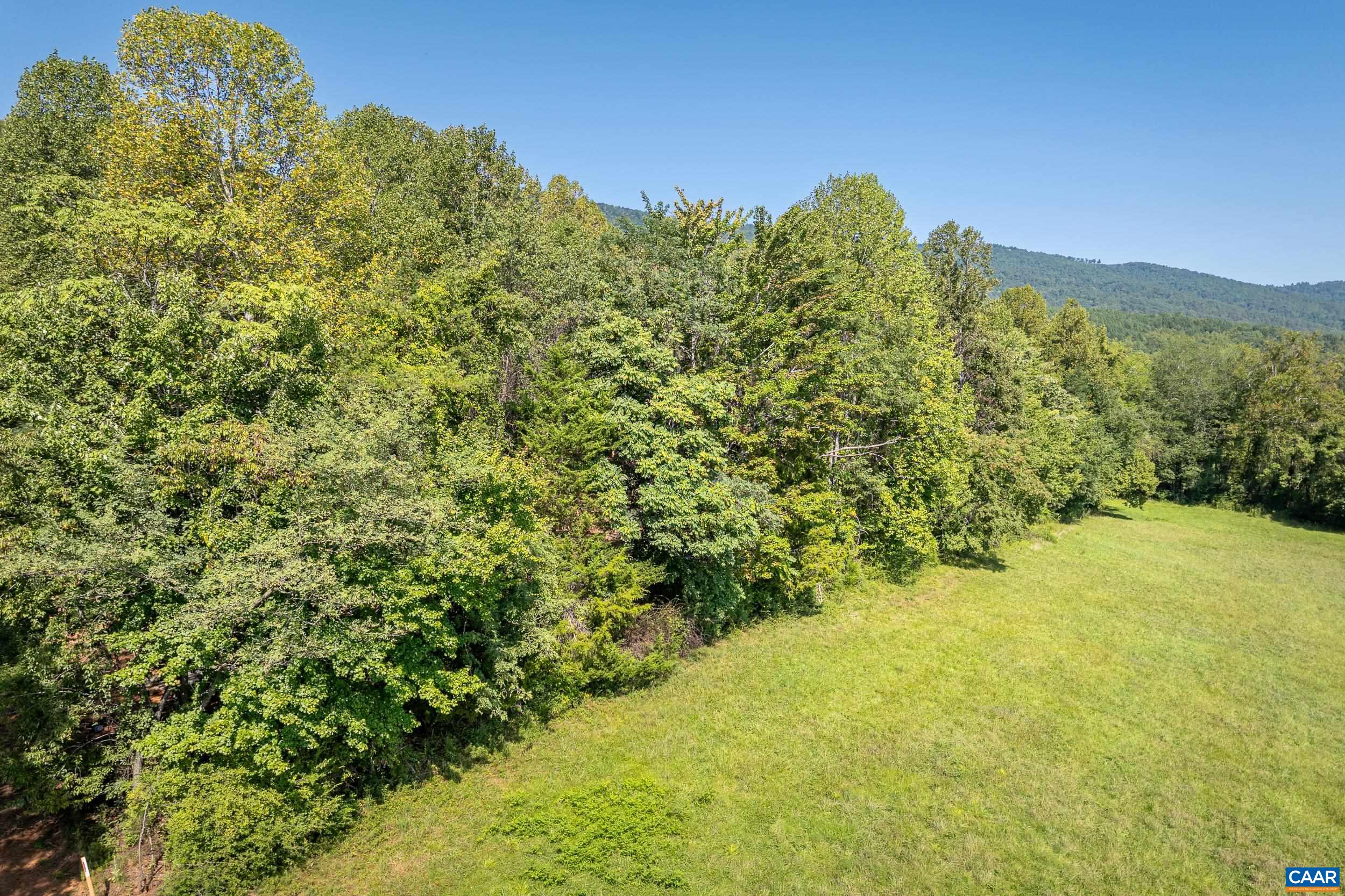 TBD CARLTON LN, AFTON, Virginia 22920, ,Land,TBD CARLTON LN,681619 MLS # 681619