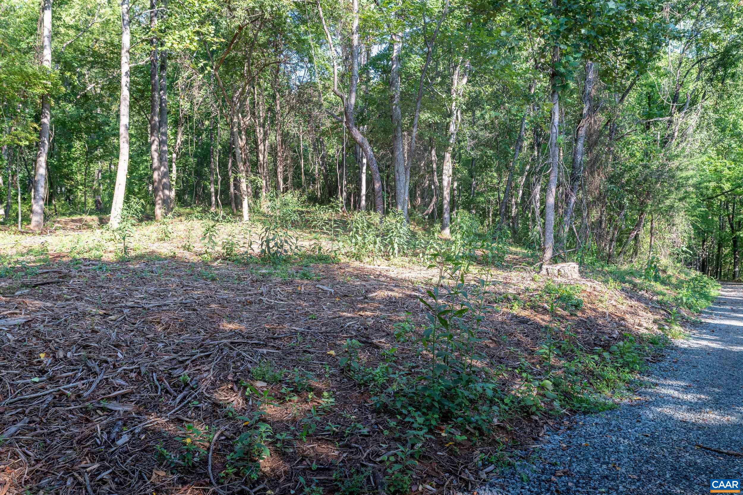 TBD CARLTON LN, AFTON, Virginia 22920, ,Land,TBD CARLTON LN,681619 MLS # 681619