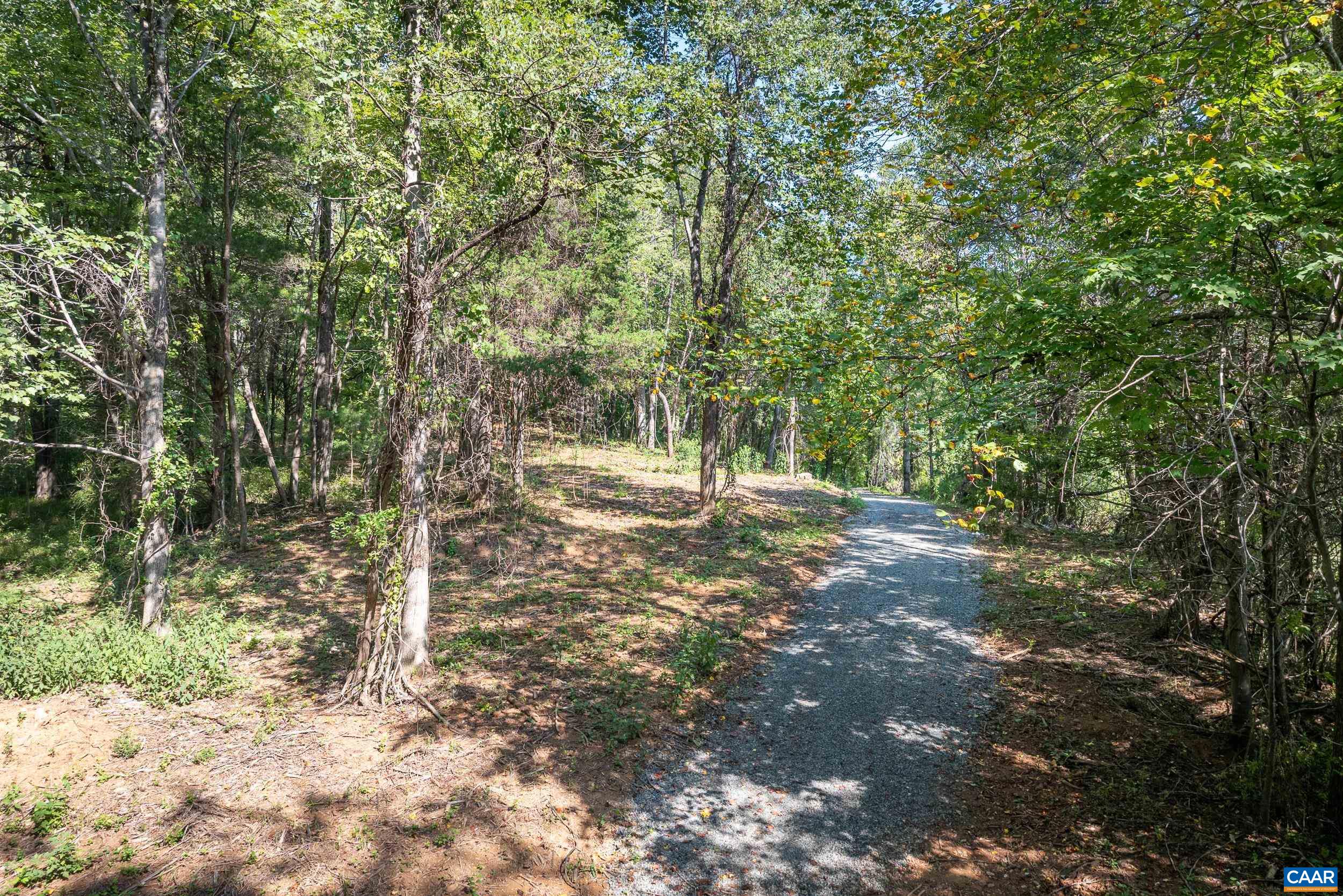 TBD CARLTON LN, AFTON, Virginia 22920, ,Land,TBD CARLTON LN,681619 MLS # 681619