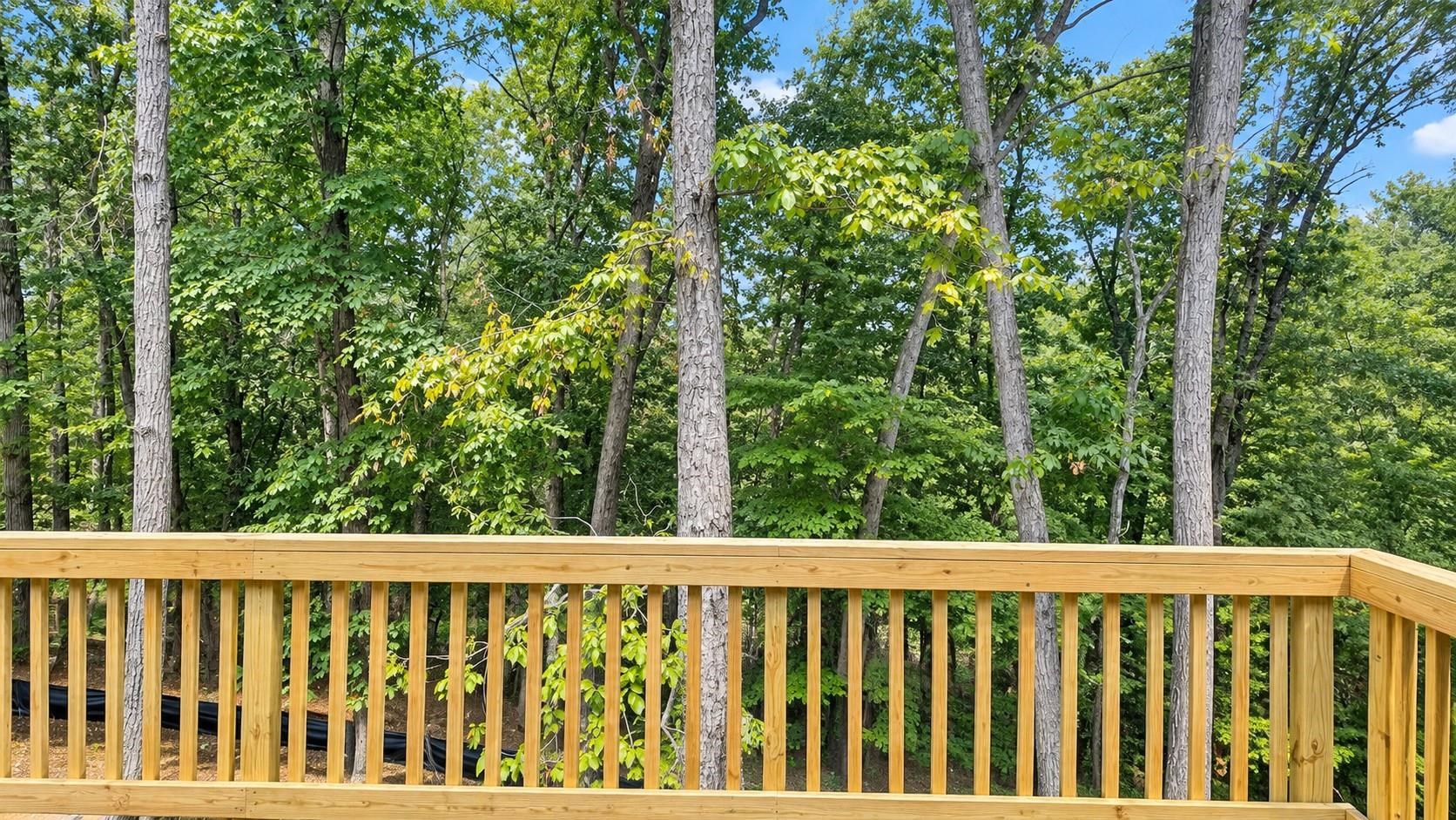 208 CREEK VALLEY DR, BASYE, Virginia 22810, 3 Bedrooms Bedrooms, ,2 BathroomsBathrooms,Residential,208 CREEK VALLEY DR,681624 MLS # 681624