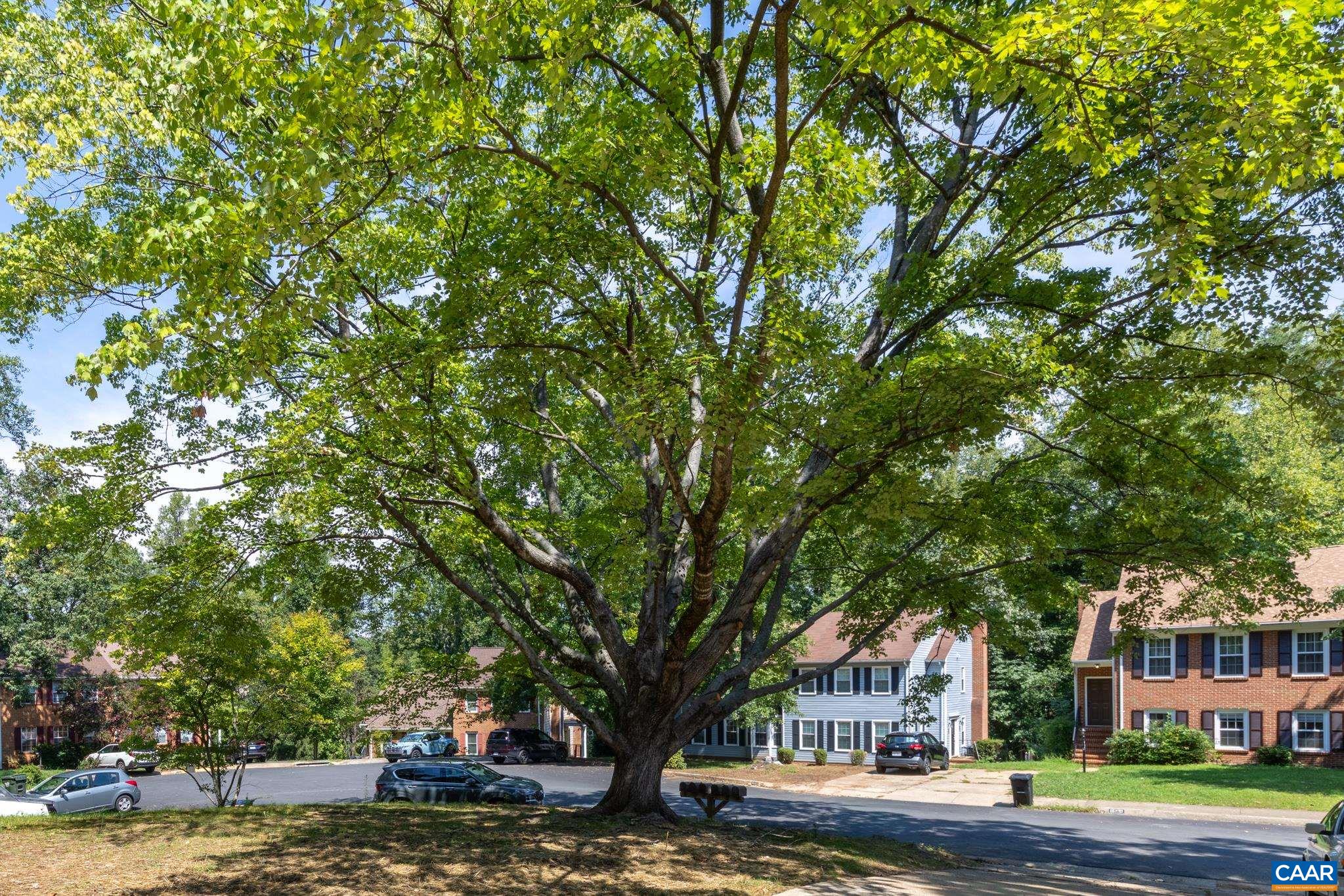 1508 WESTFIELD CT, CHARLOTTESVILLE, Virginia 22901, 3 Bedrooms Bedrooms, ,2 BathroomsBathrooms,Residential,1508 WESTFIELD CT,681627 MLS # 681627 1508 WESTFIELD CT, CHARLOTTESVILLE, Virginia 22901, 3 Bedrooms Bedrooms, ,2 BathroomsBathrooms,Residential,1508 WESTFIELD CT,681627 MLS # 681627