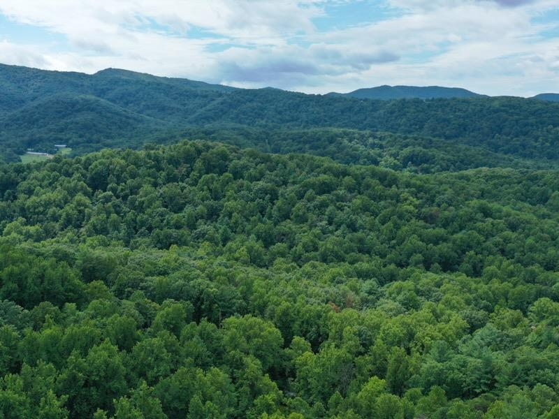 195 FRIENDLY LN, STANLEY, Virginia 22851, ,Land,195 FRIENDLY LN,681636 MLS # 681636 195 FRIENDLY LN, STANLEY, Virginia 22851, ,Land,195 FRIENDLY LN,681636 MLS # 681636