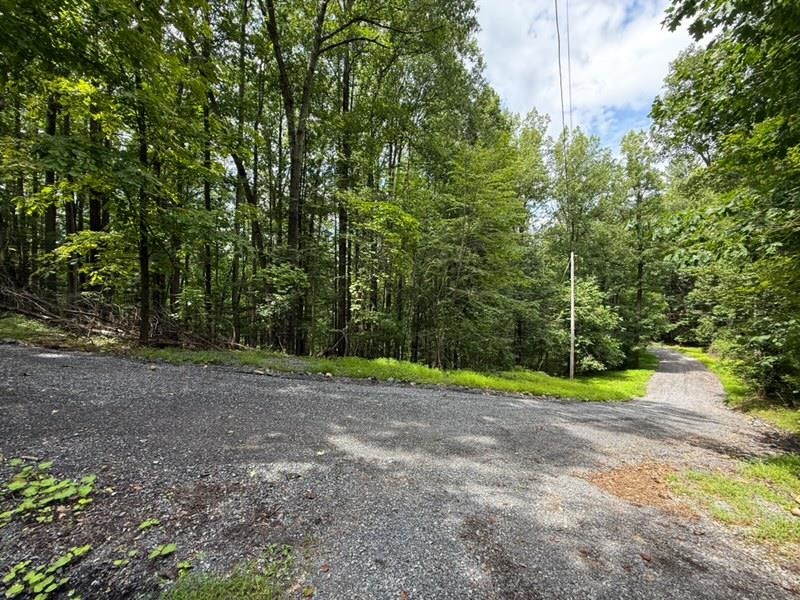 195 FRIENDLY LN, STANLEY, Virginia 22851, ,Land,195 FRIENDLY LN,681636 MLS # 681636 195 FRIENDLY LN, STANLEY, Virginia 22851, ,Land,195 FRIENDLY LN,681636 MLS # 681636