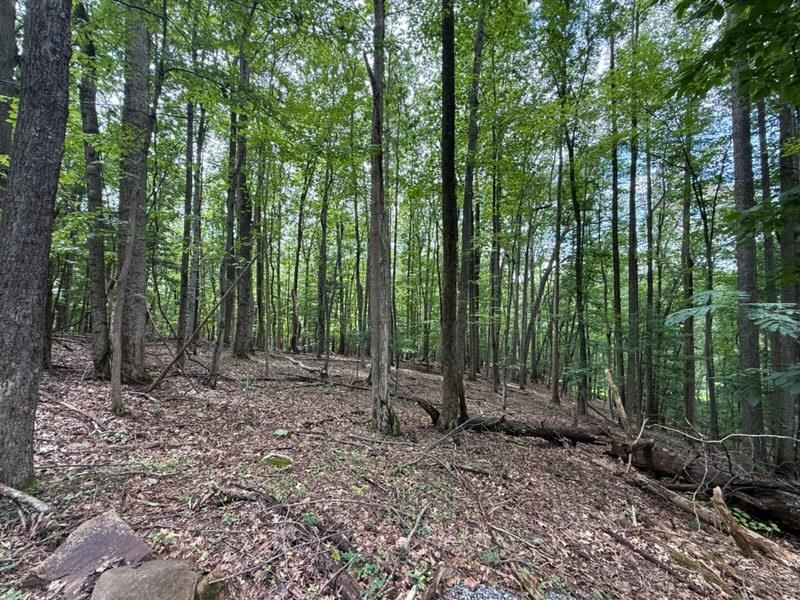 195 FRIENDLY LN, STANLEY, Virginia 22851, ,Land,195 FRIENDLY LN,681636 MLS # 681636 195 FRIENDLY LN, STANLEY, Virginia 22851, ,Land,195 FRIENDLY LN,681636 MLS # 681636