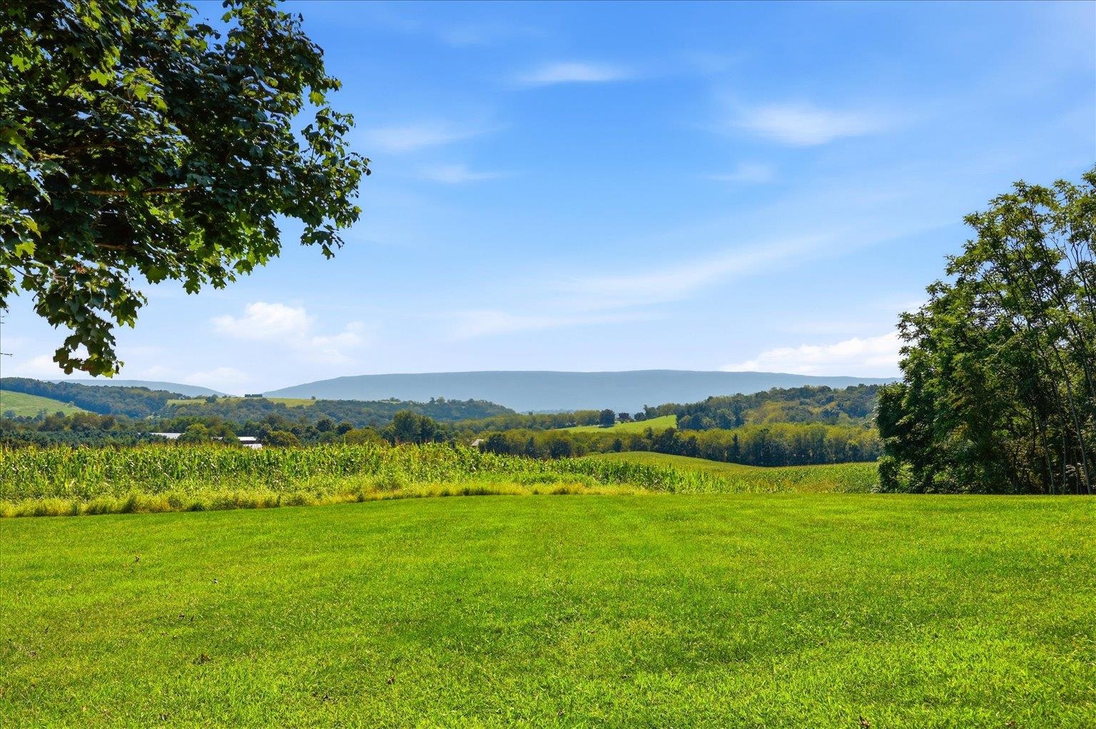 3817 TREASURE HILL LN, TIMBERVILLE, Virginia 22853, 4 Bedrooms Bedrooms, ,4 BathroomsBathrooms,Residential,3817 TREASURE HILL LN,681640 MLS # 681640