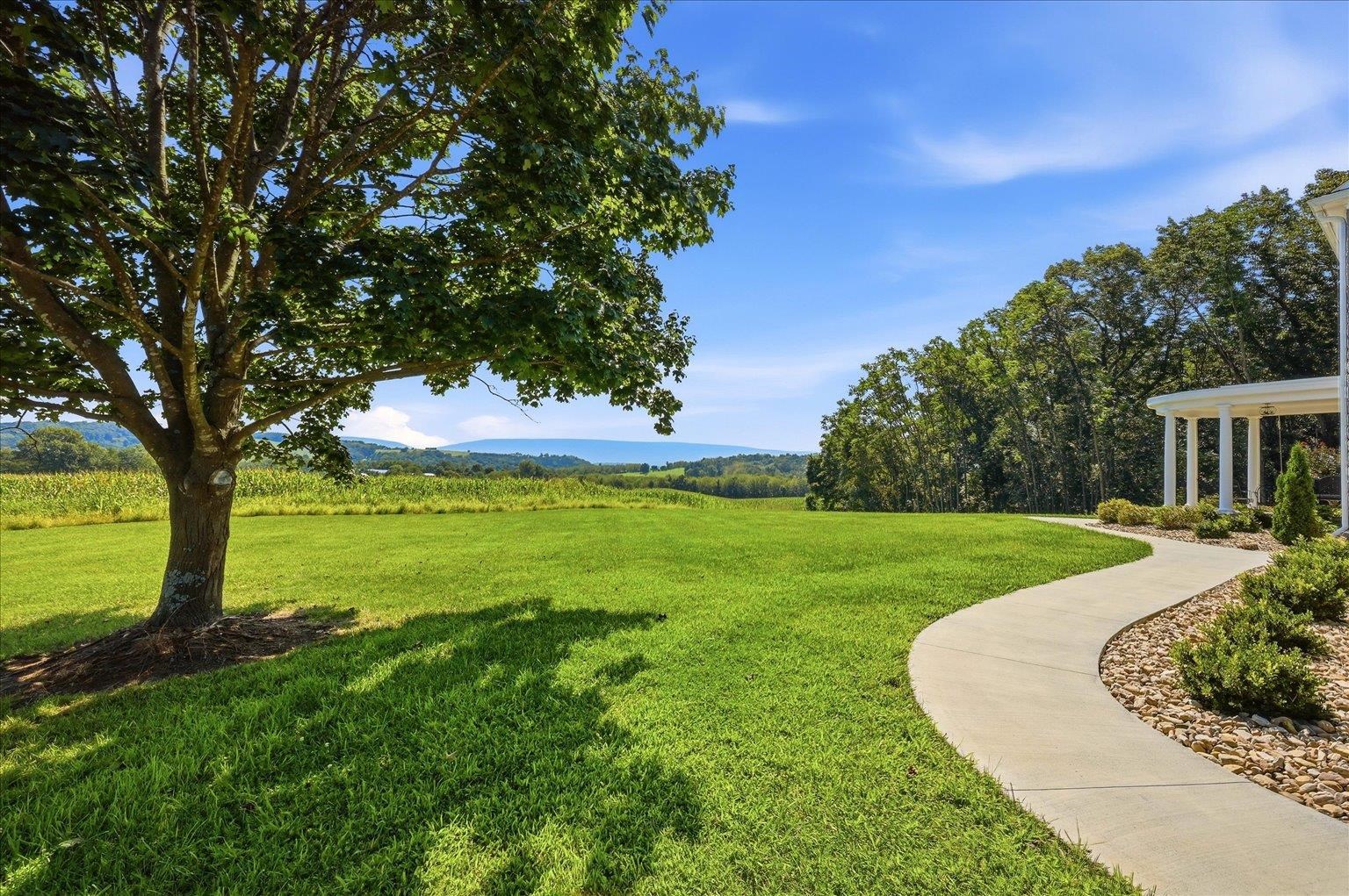 3817 TREASURE HILL LN, TIMBERVILLE, Virginia 22853, 4 Bedrooms Bedrooms, ,4 BathroomsBathrooms,Residential,3817 TREASURE HILL LN,681640 MLS # 681640