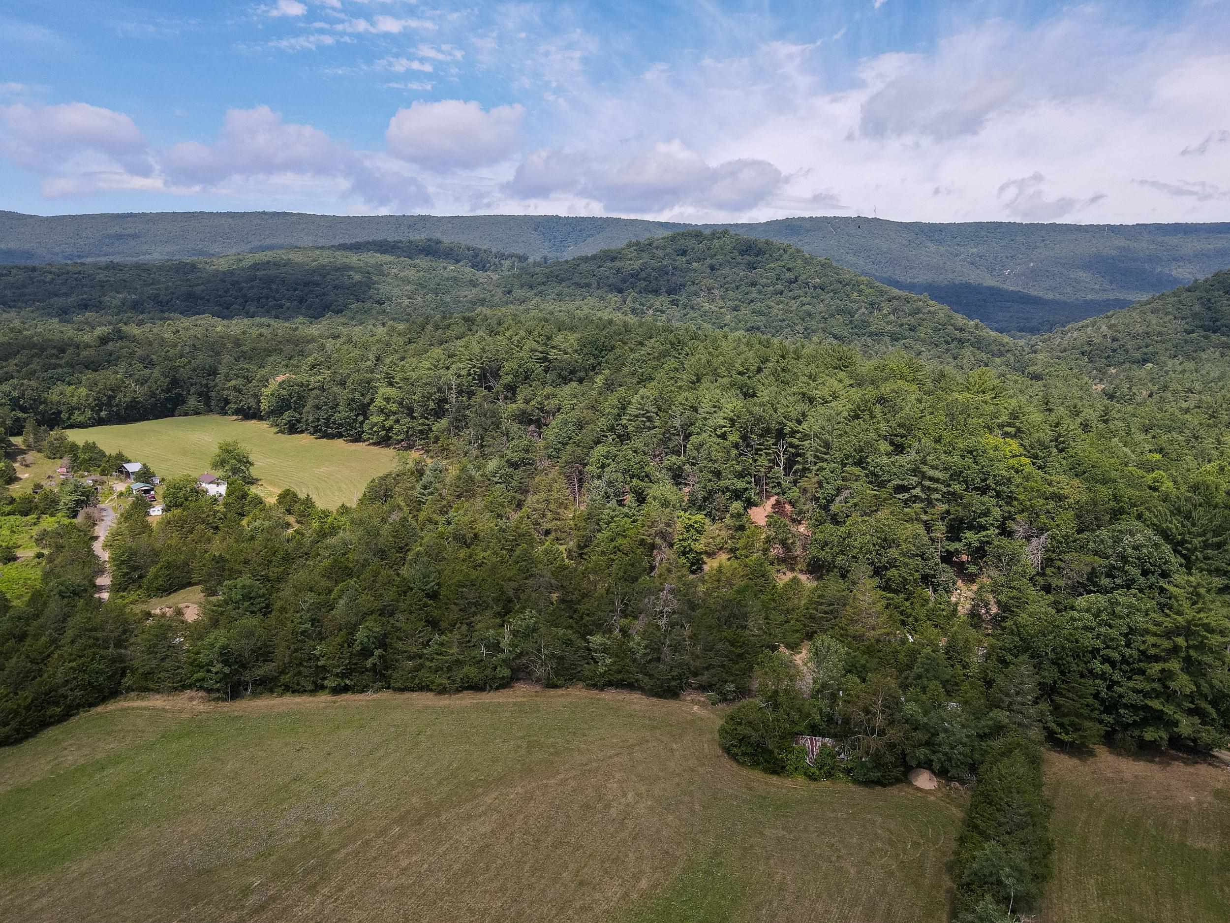 ALUM SPRINGS RD, BASYE, Virginia 22810, ,Land,ALUM SPRINGS RD,681657 MLS # 681657 ALUM SPRINGS RD, BASYE, Virginia 22810, ,Land,ALUM SPRINGS RD,681657 MLS # 681657