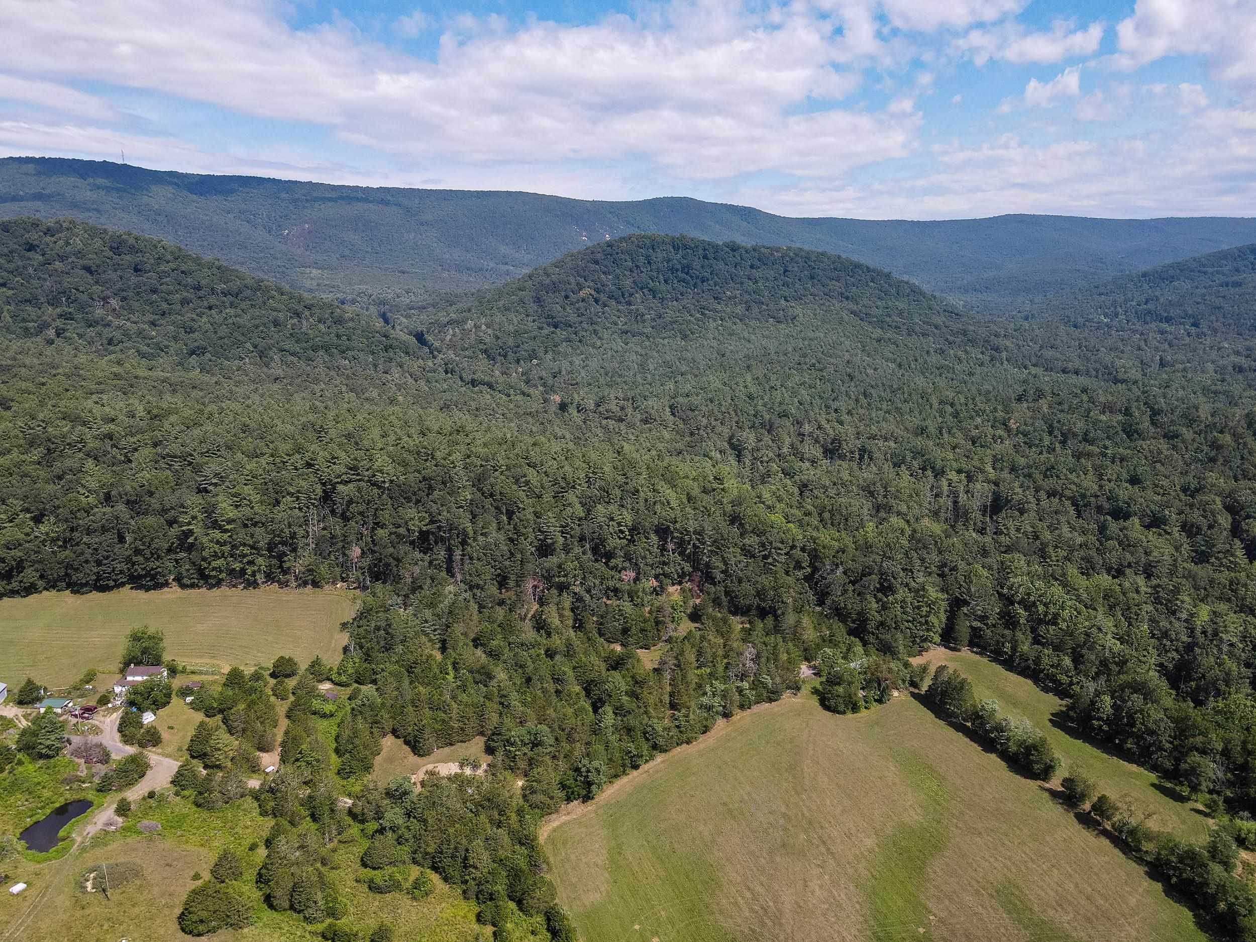 ALUM SPRINGS RD, BASYE, Virginia 22810, ,Land,ALUM SPRINGS RD,681657 MLS # 681657 ALUM SPRINGS RD, BASYE, Virginia 22810, ,Land,ALUM SPRINGS RD,681657 MLS # 681657