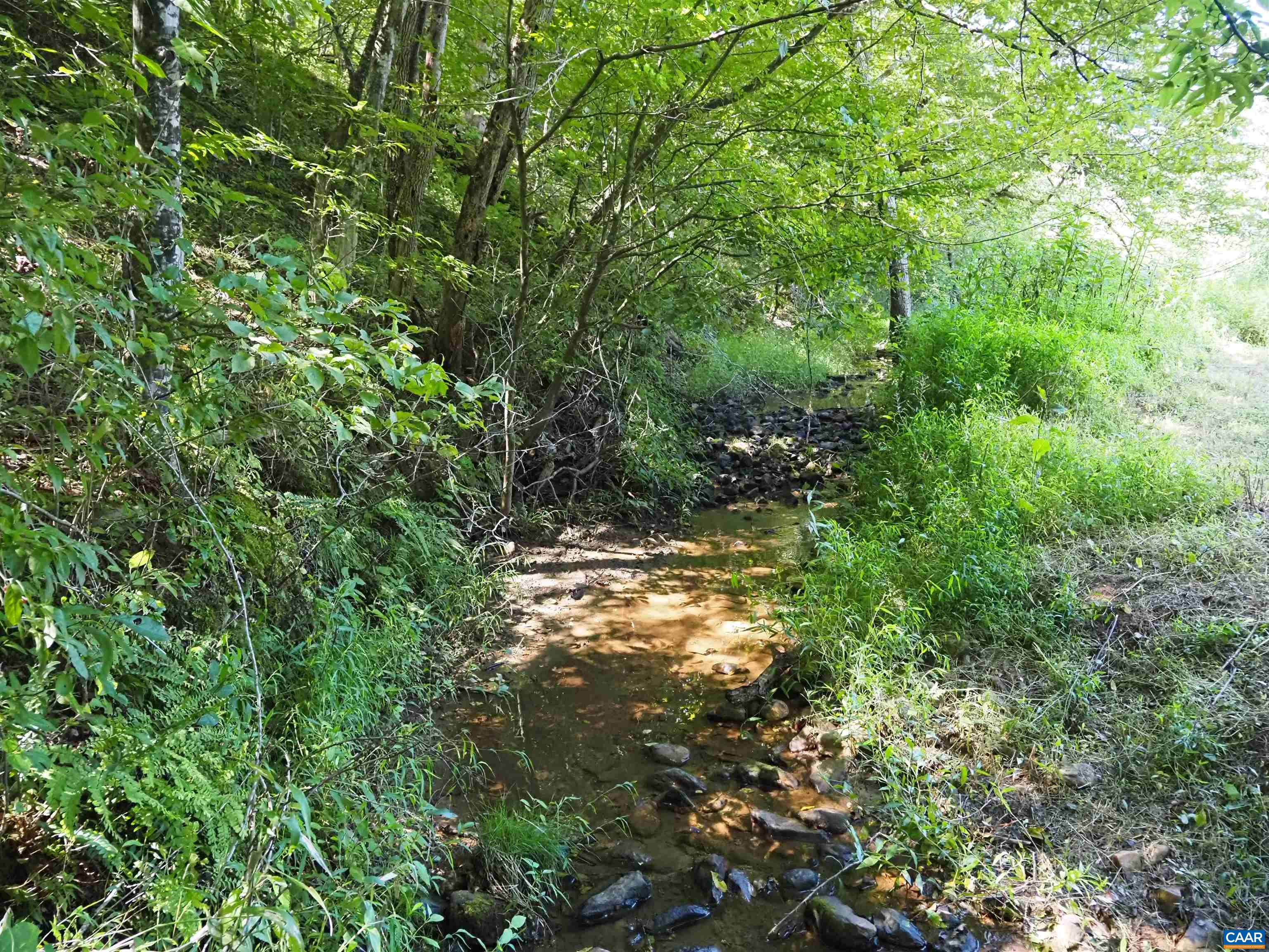 Little Parson's Creek bisects the property. Little Parson's Creek bisects the property.