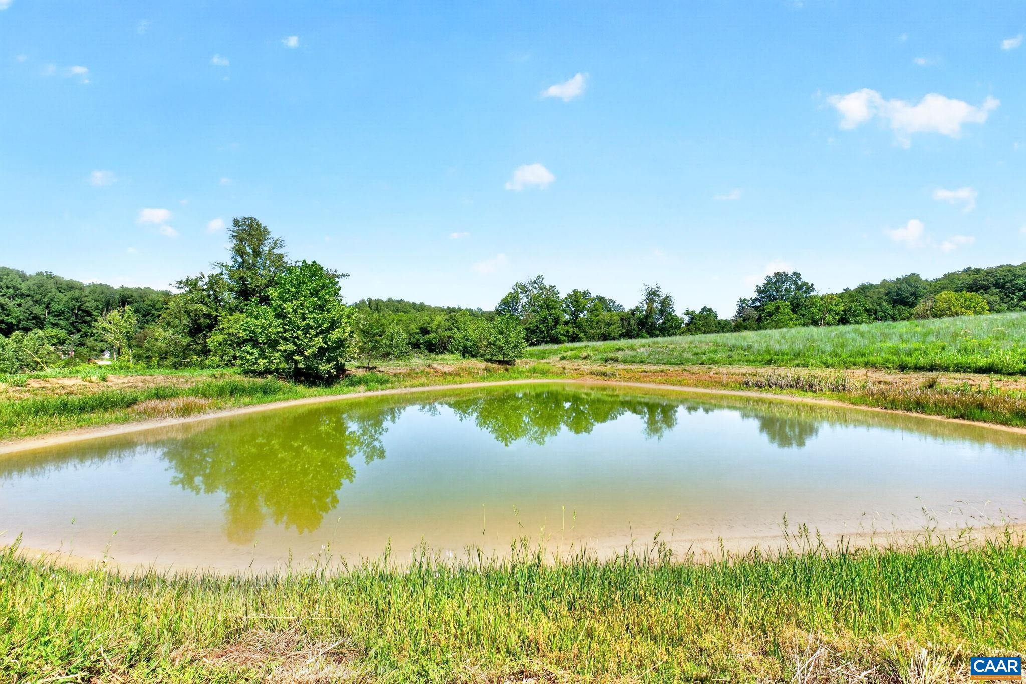 Pond just off the driveway. Pond just off the driveway.