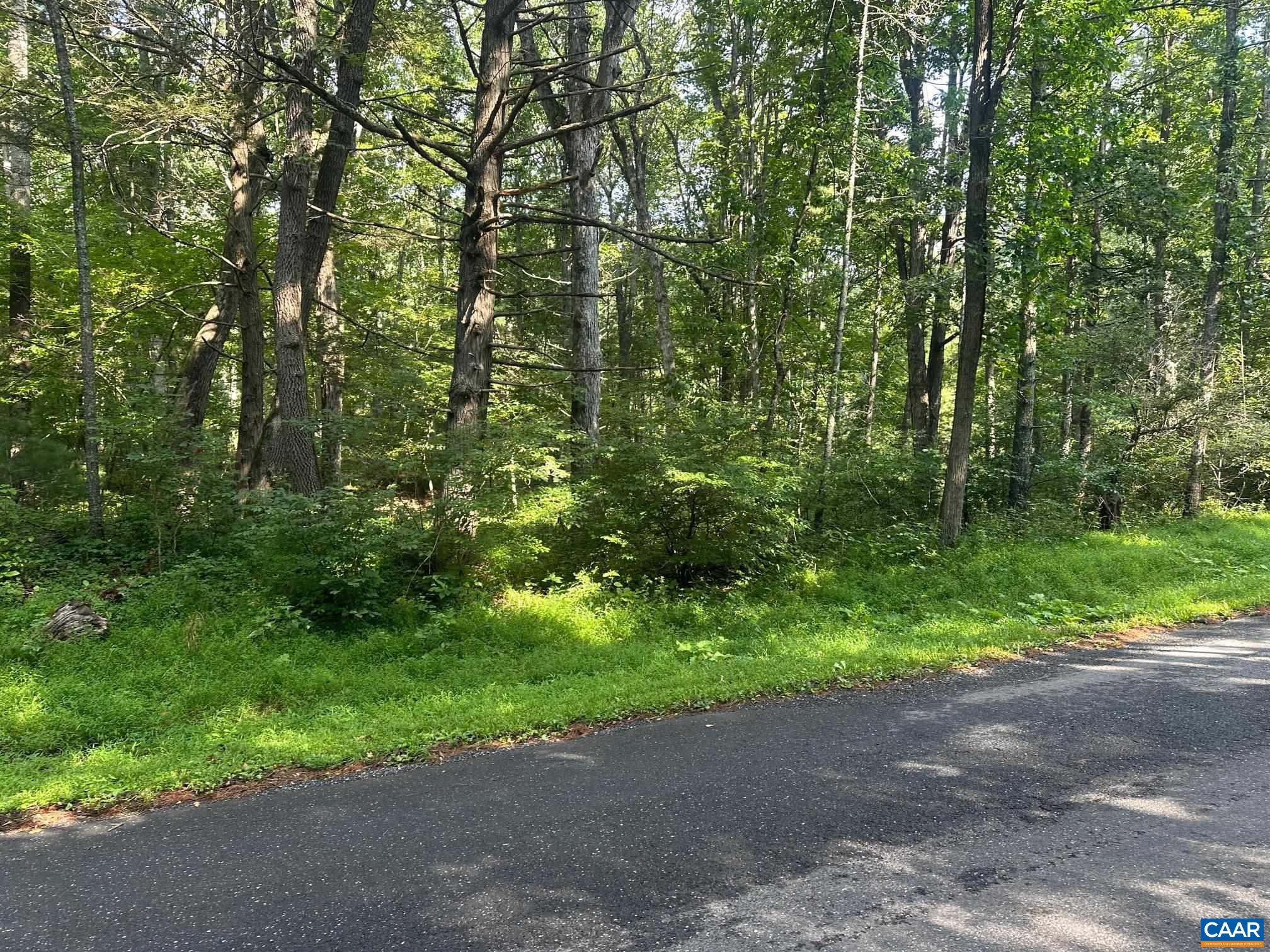 94 DIRE WOLF LN, WEST AUGUSTA, Virginia 24485, 4 Bedrooms Bedrooms, ,2 BathroomsBathrooms,Residential,94 DIRE WOLF LN,681646 MLS # 681646