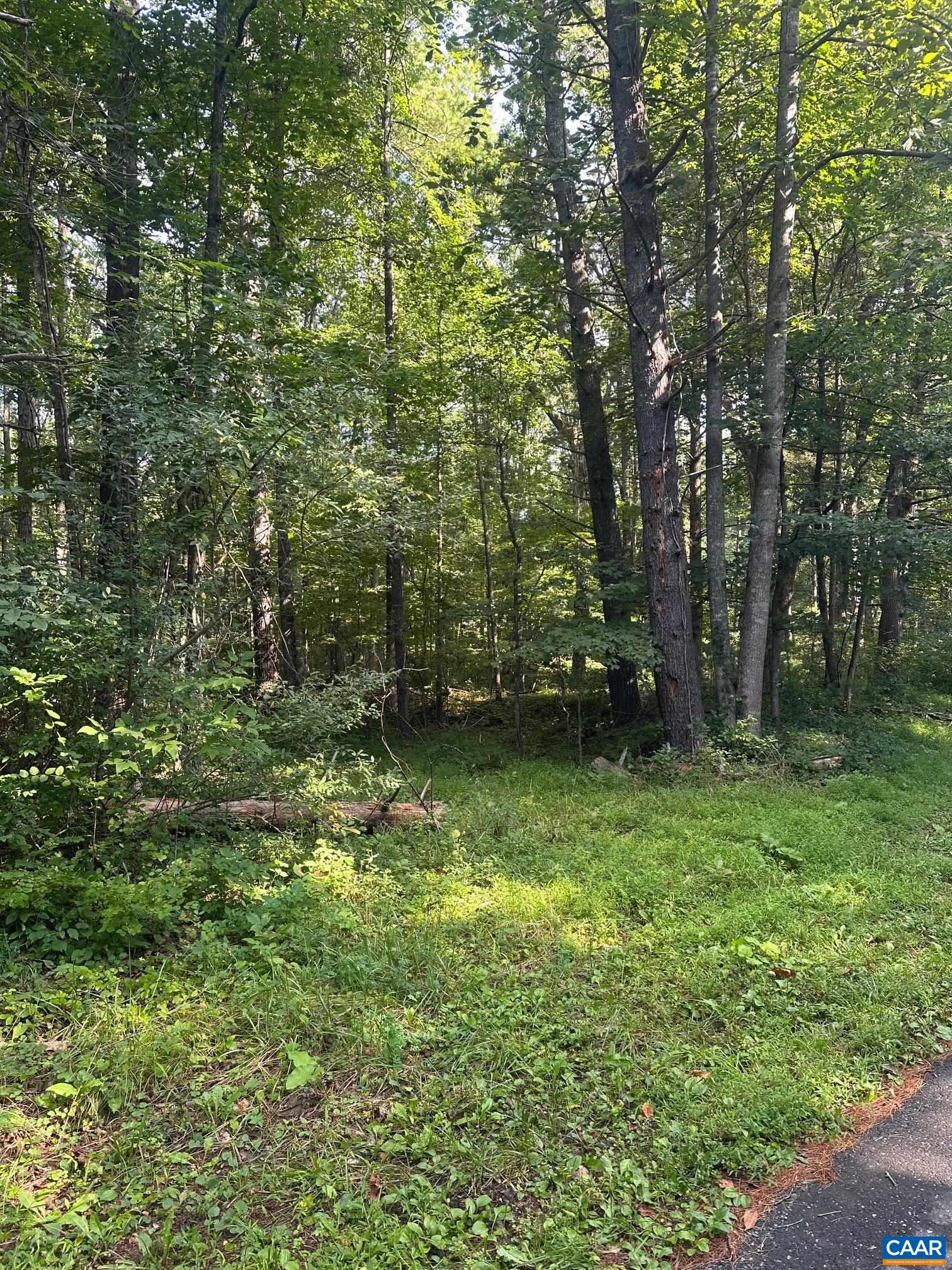 94 DIRE WOLF LN, WEST AUGUSTA, Virginia 24485, 4 Bedrooms Bedrooms, ,2 BathroomsBathrooms,Residential,94 DIRE WOLF LN,681646 MLS # 681646